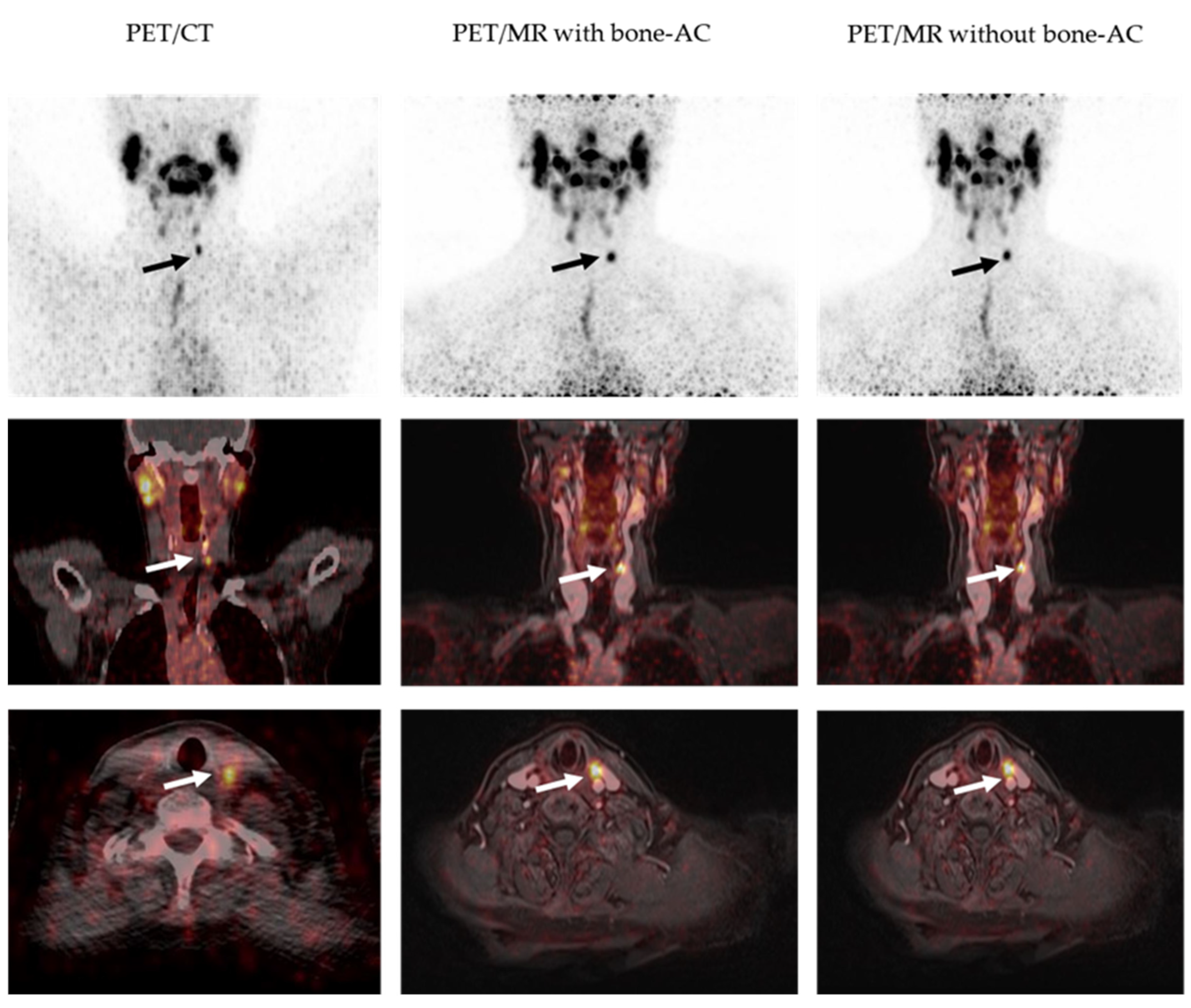 Cancers 14 03040 g002