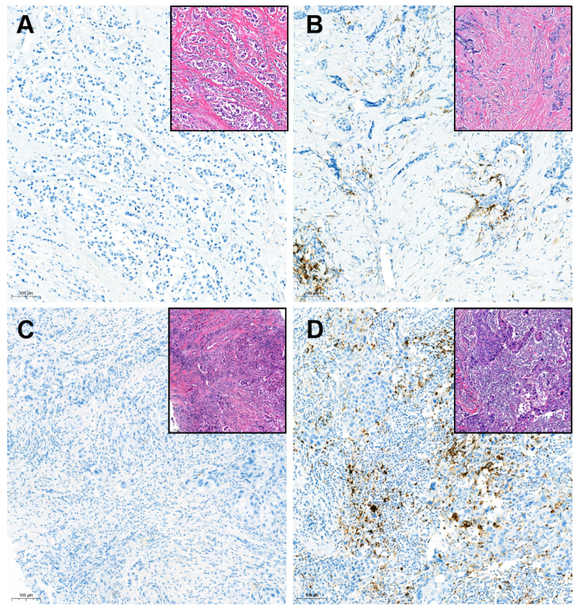 Cancers 14 03042 g002