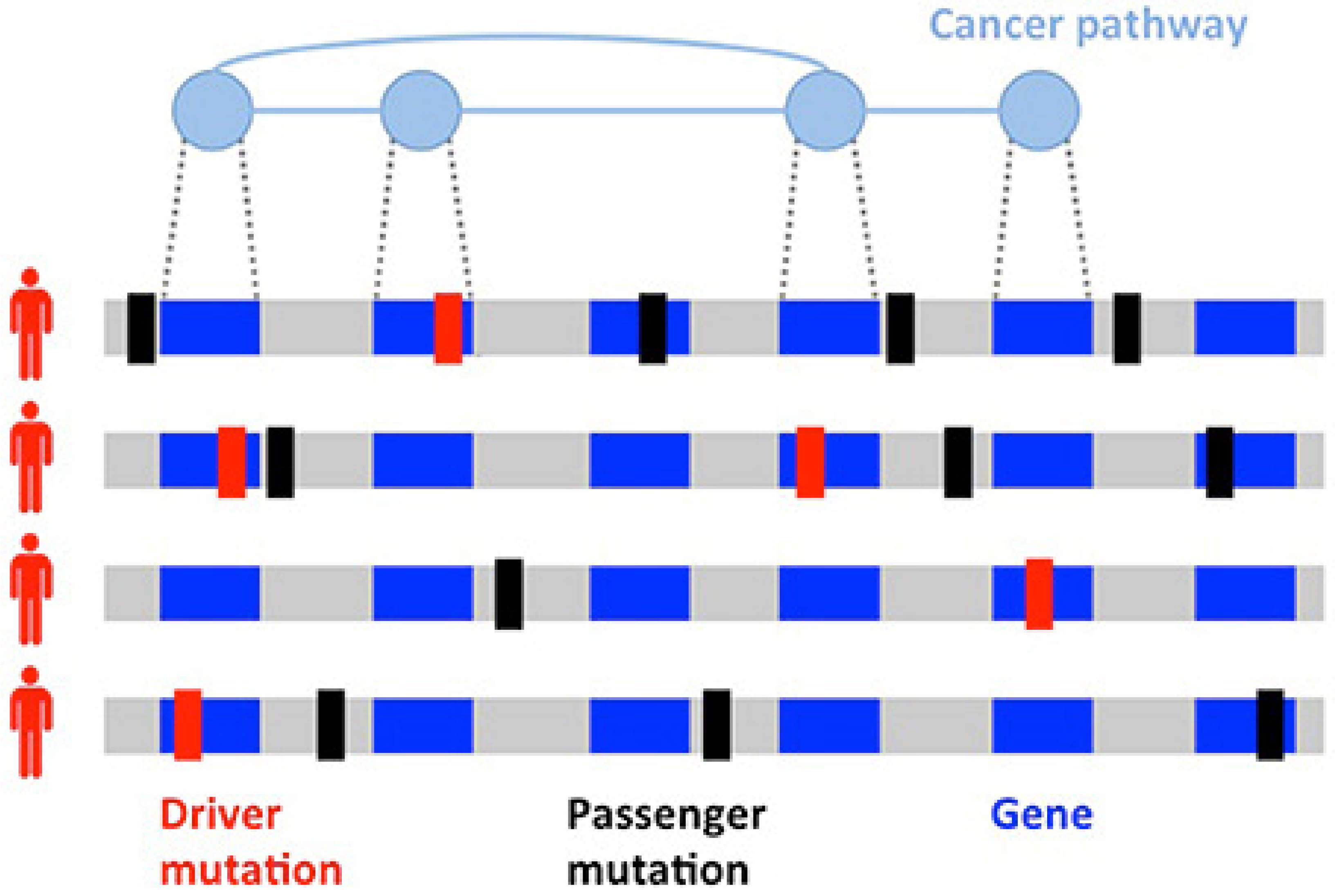 Cancers 14 03046 g001