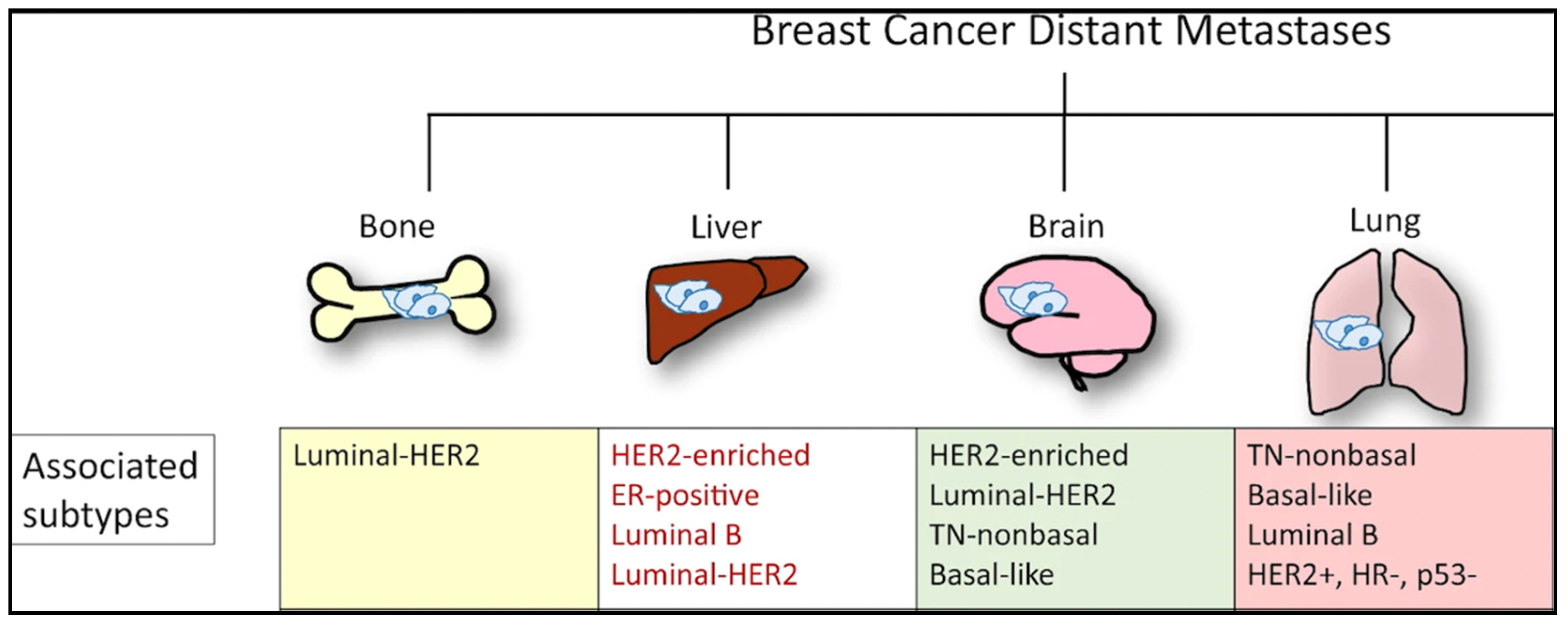 Cancers 14 03046 g002