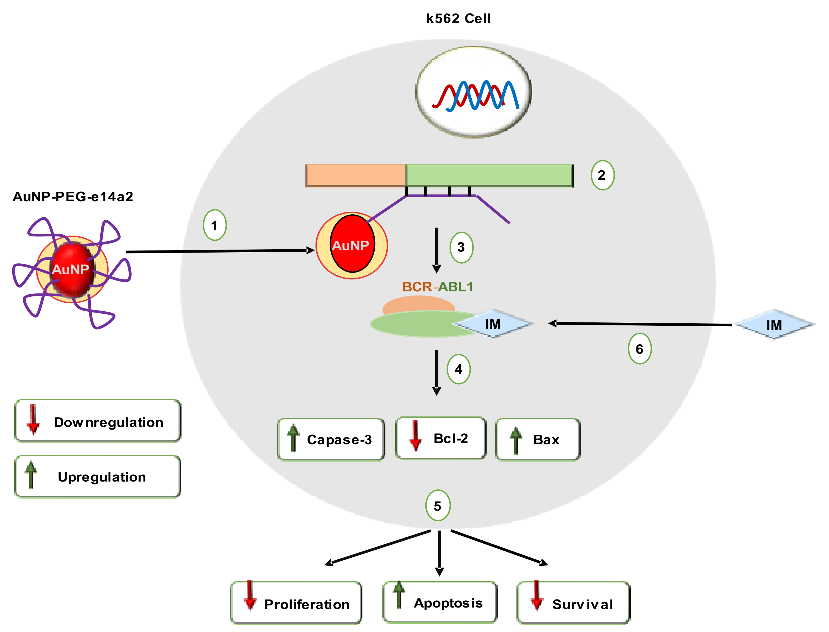 Cancers 14 03047 g008