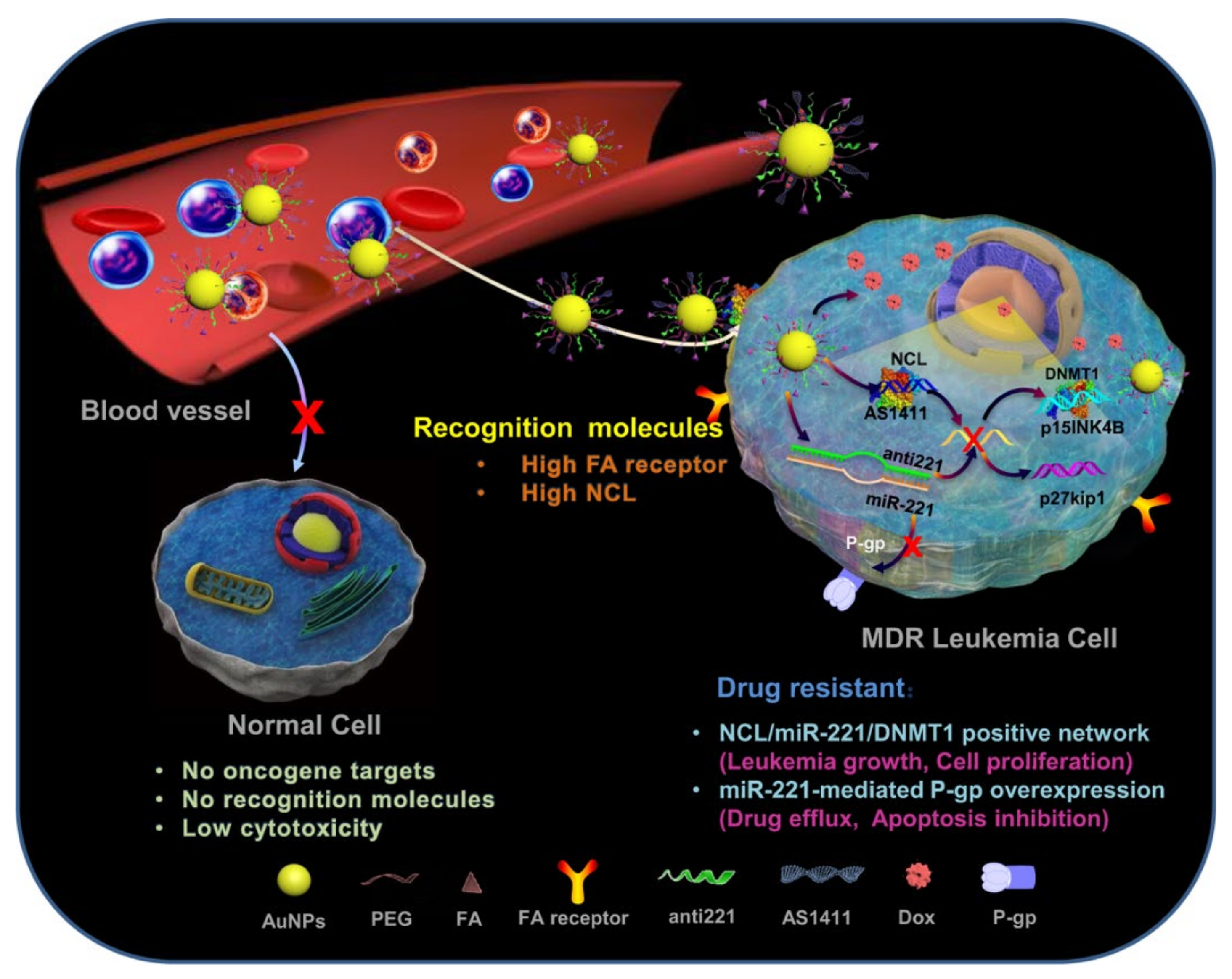Cancers 14 03047 g009