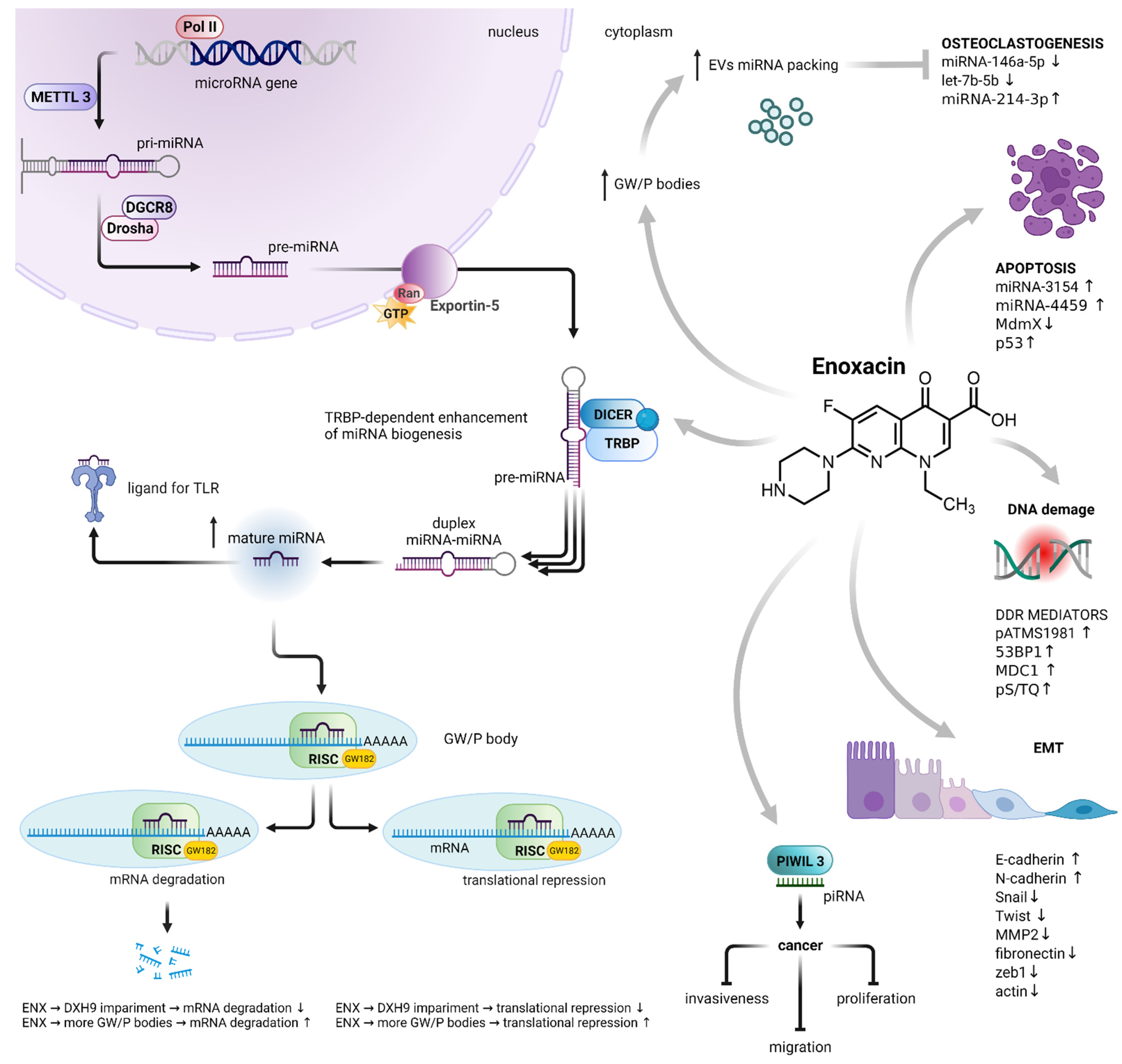 Cancers 14 03056 g002