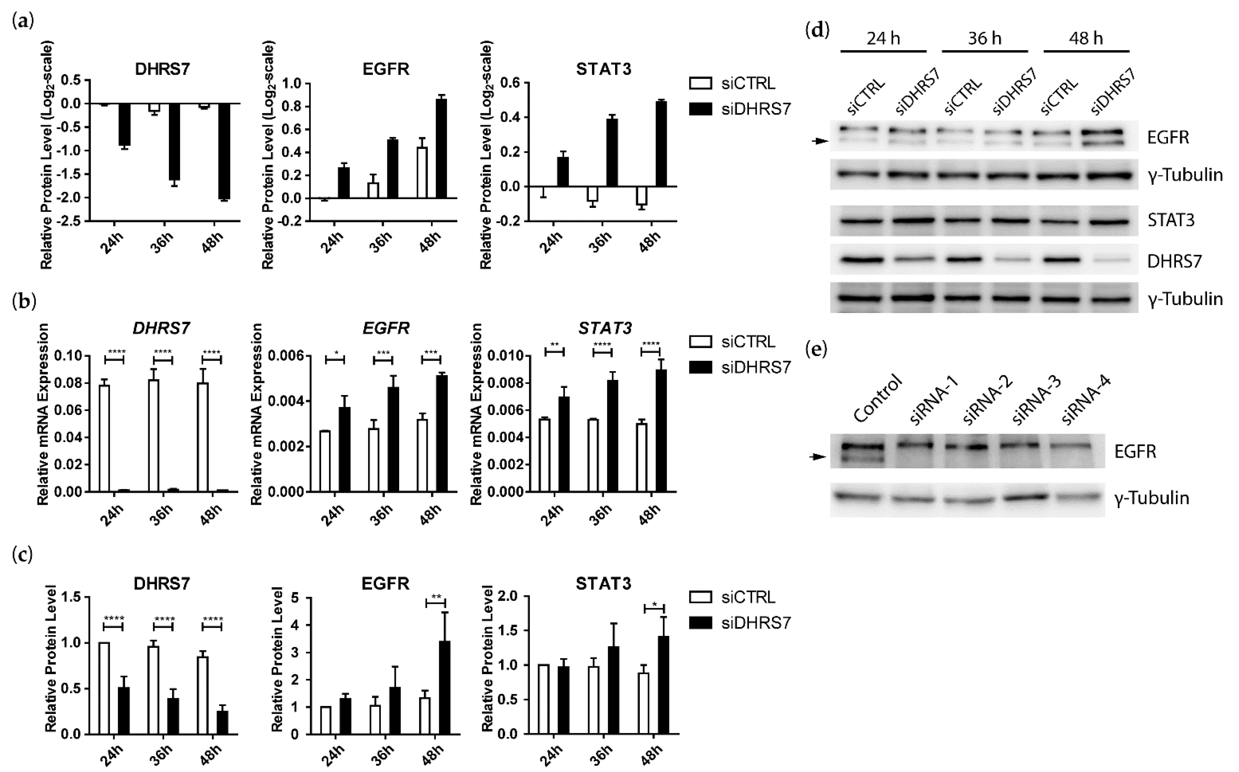 Cancers 14 03074 g002