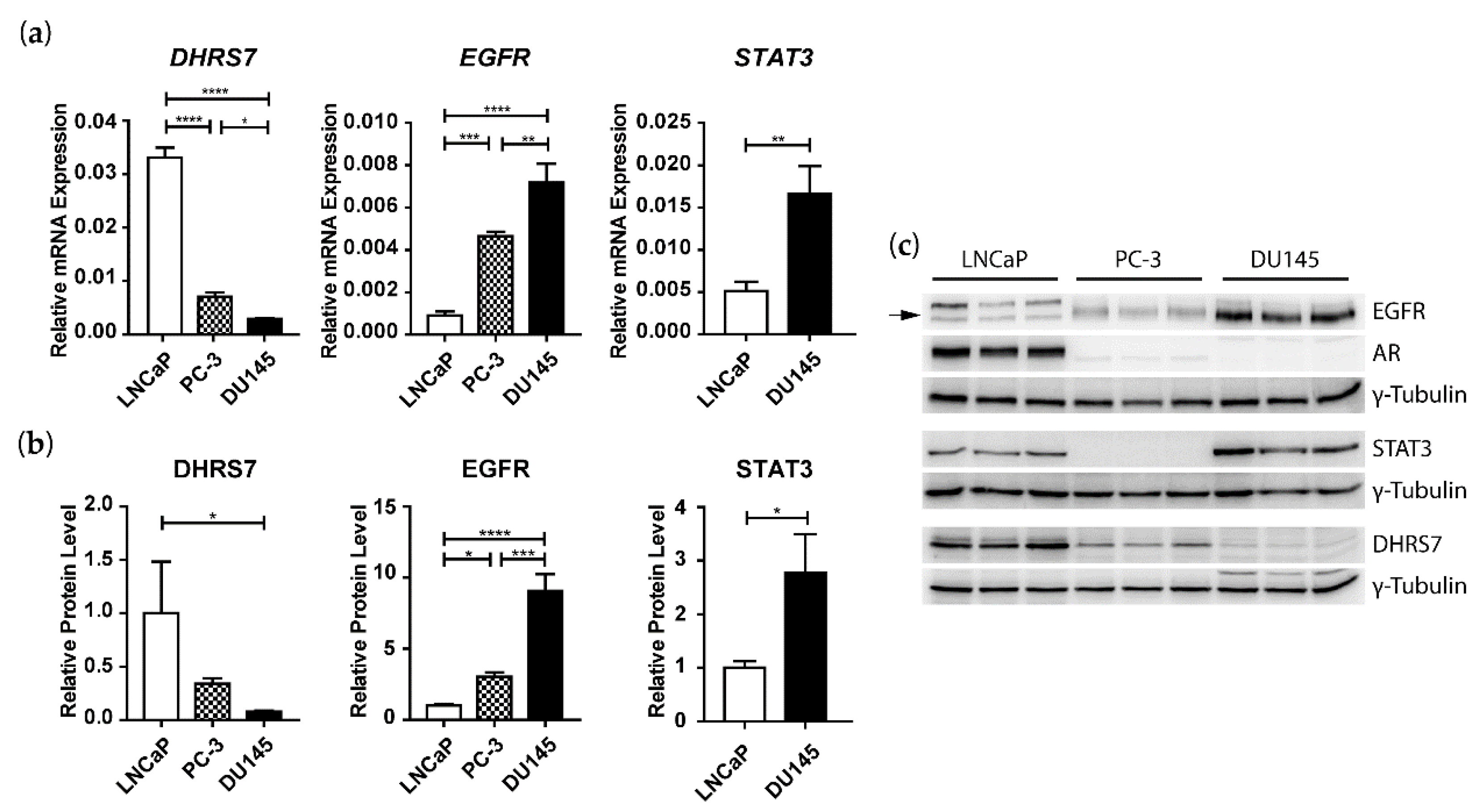 Cancers 14 03074 g003
