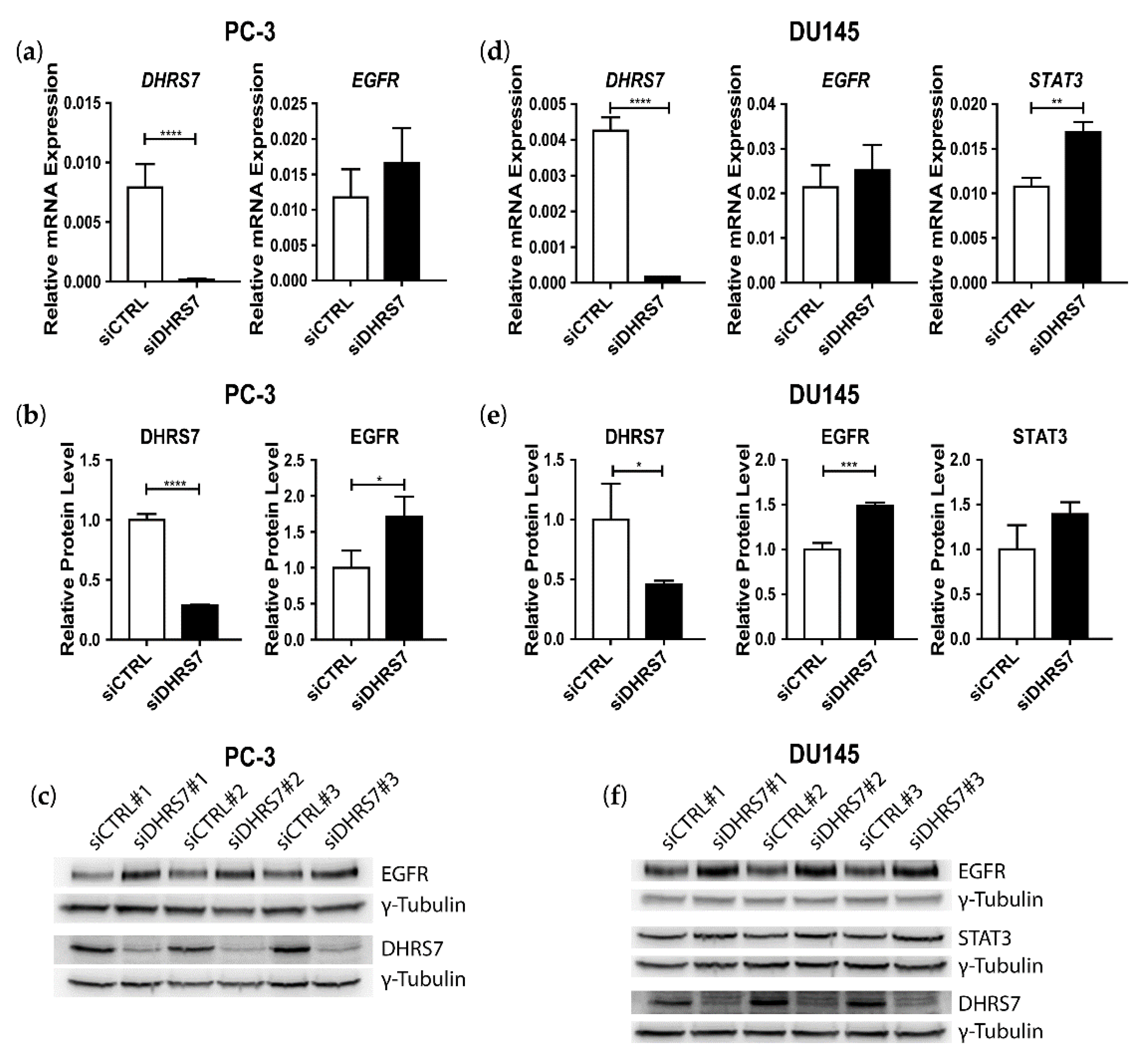 Cancers 14 03074 g004