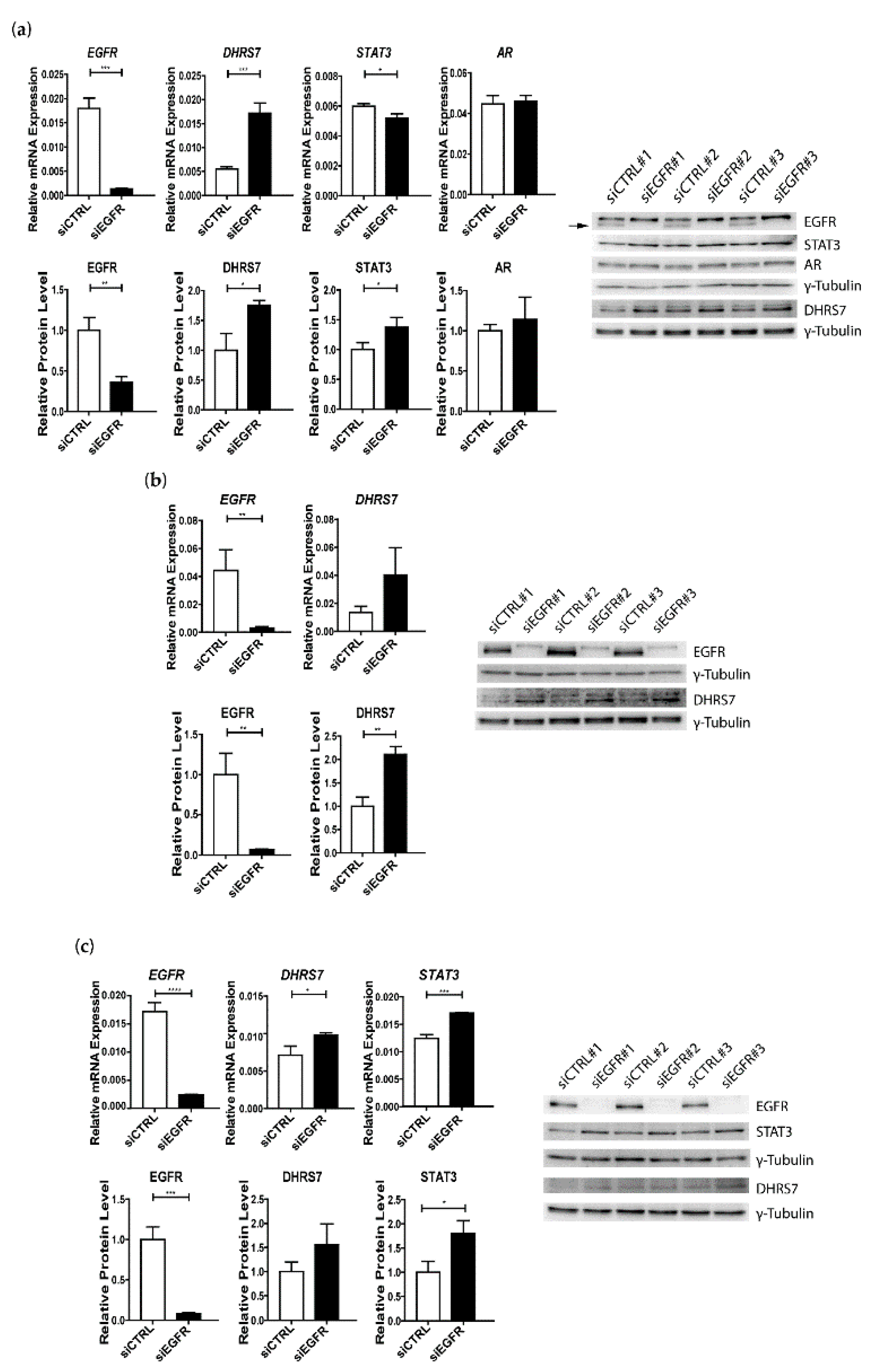 Cancers 14 03074 g005