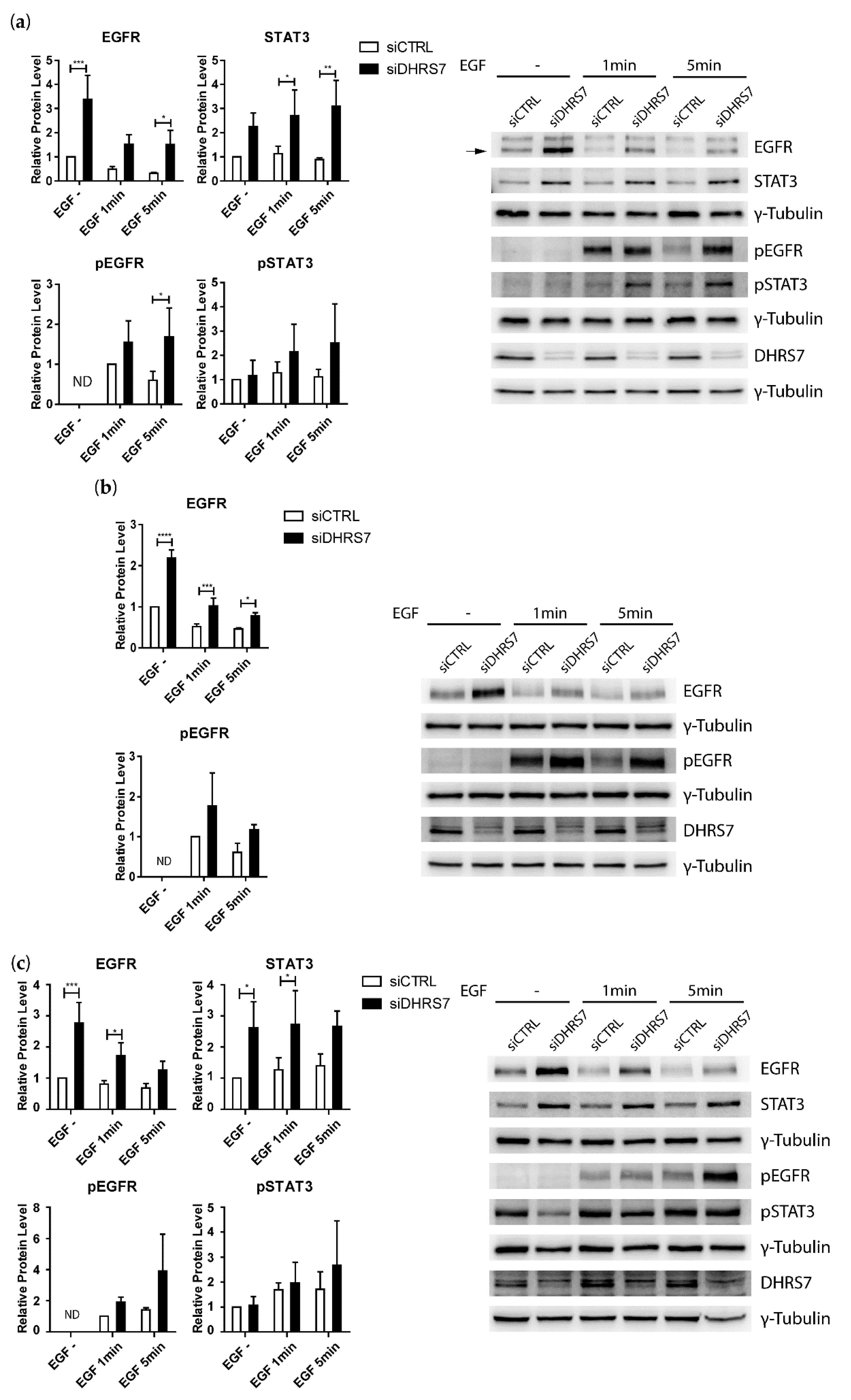 Cancers 14 03074 g006
