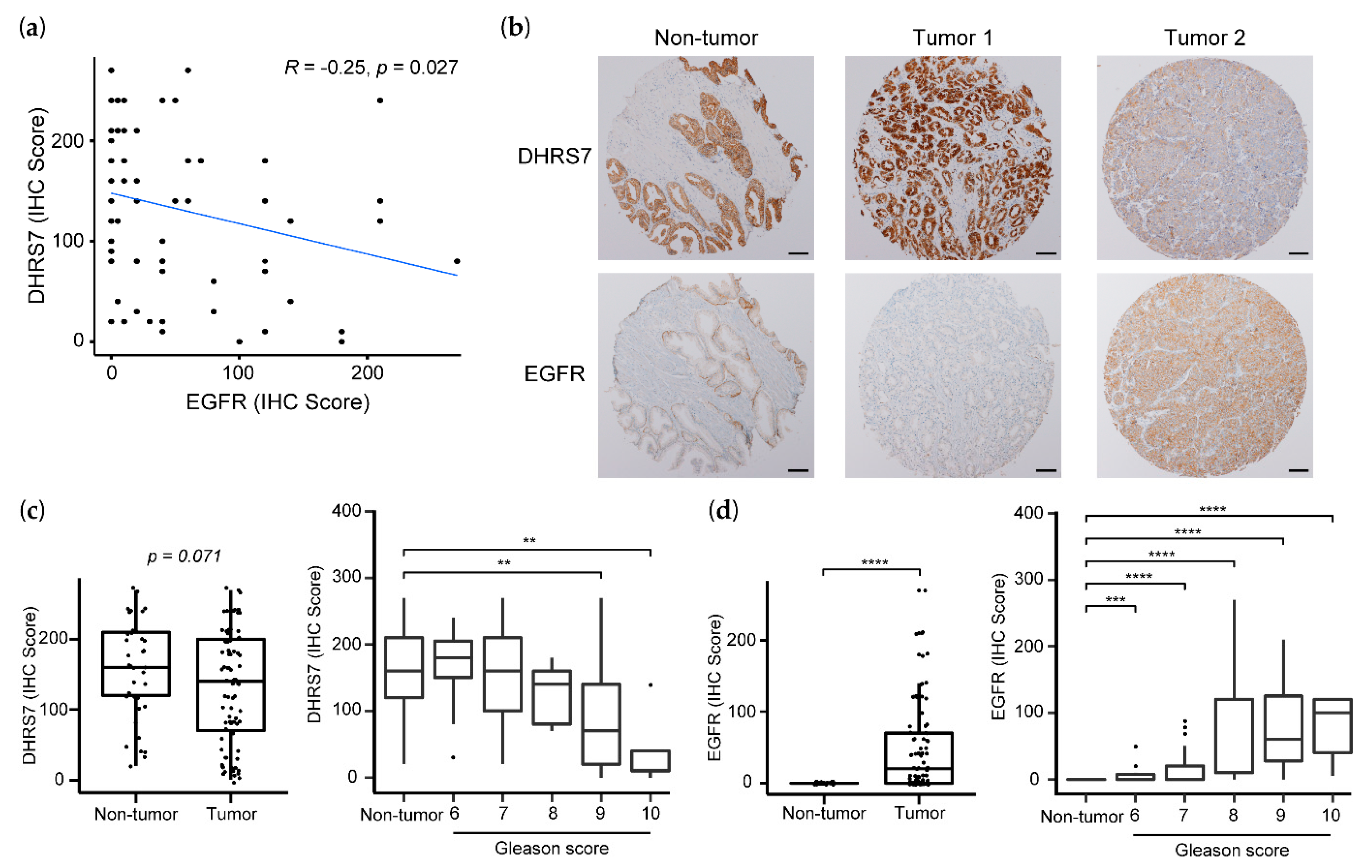 Cancers 14 03074 g008