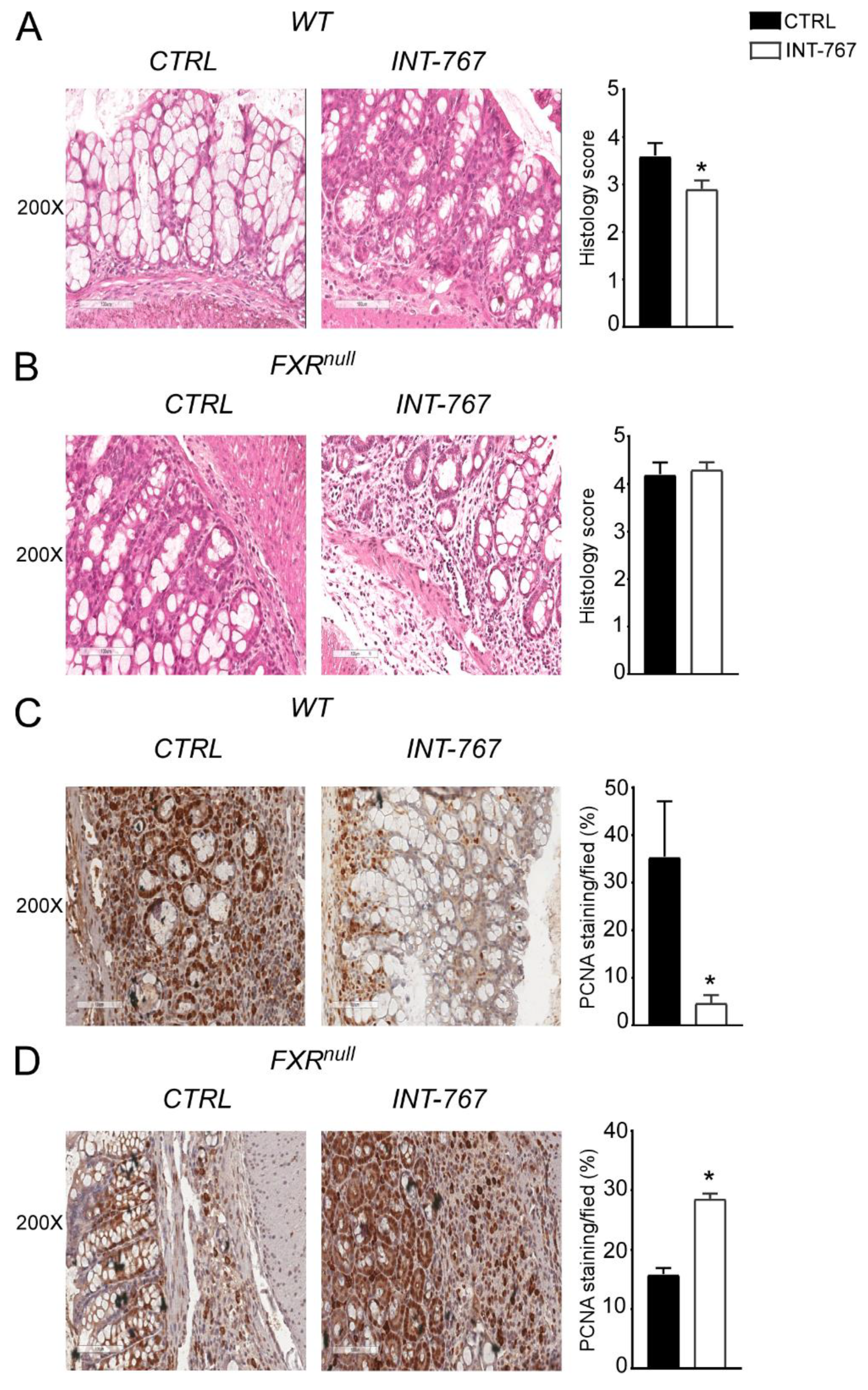 Cancers 14 03081 g003