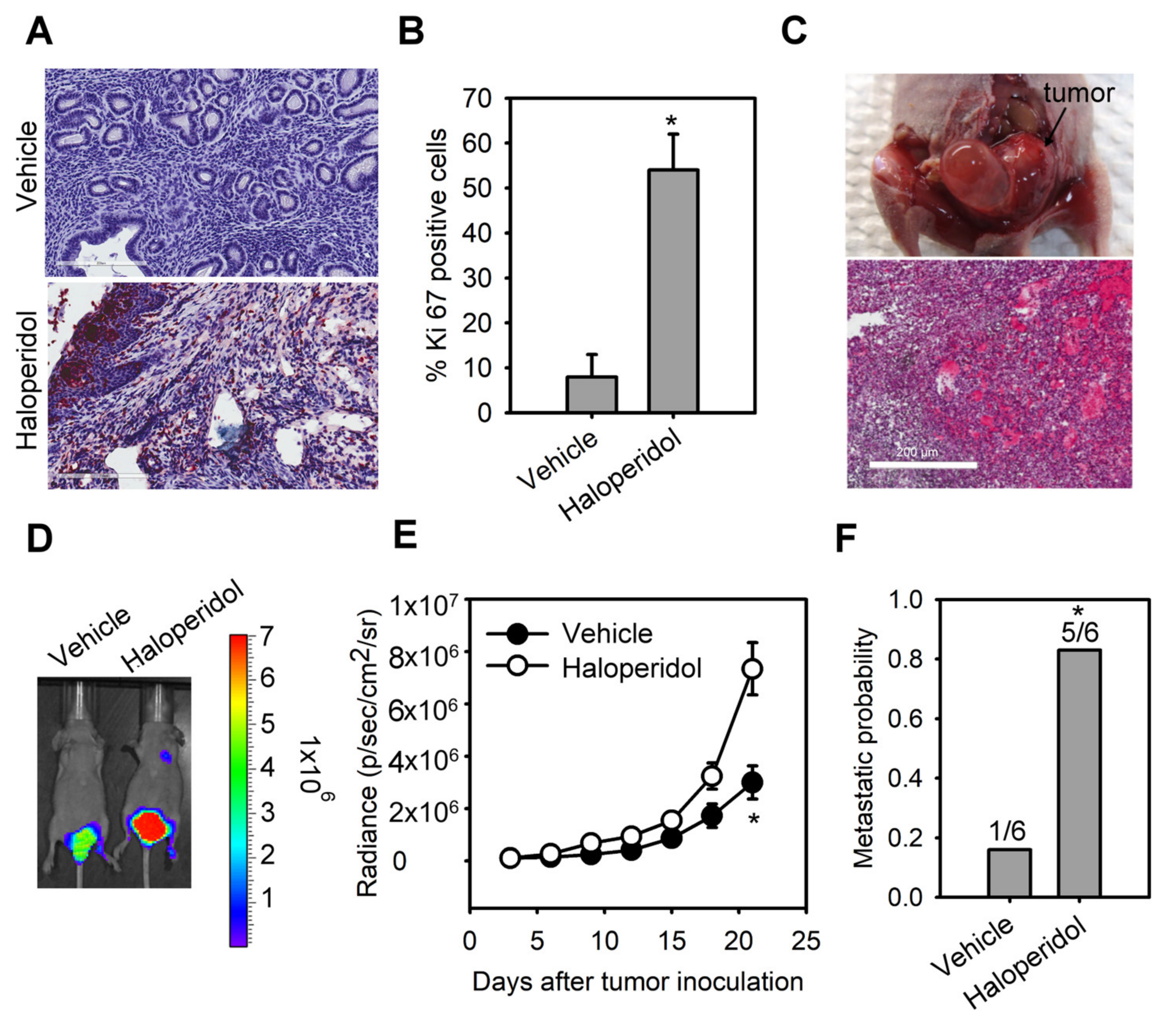 Cancers 14 03089 g001