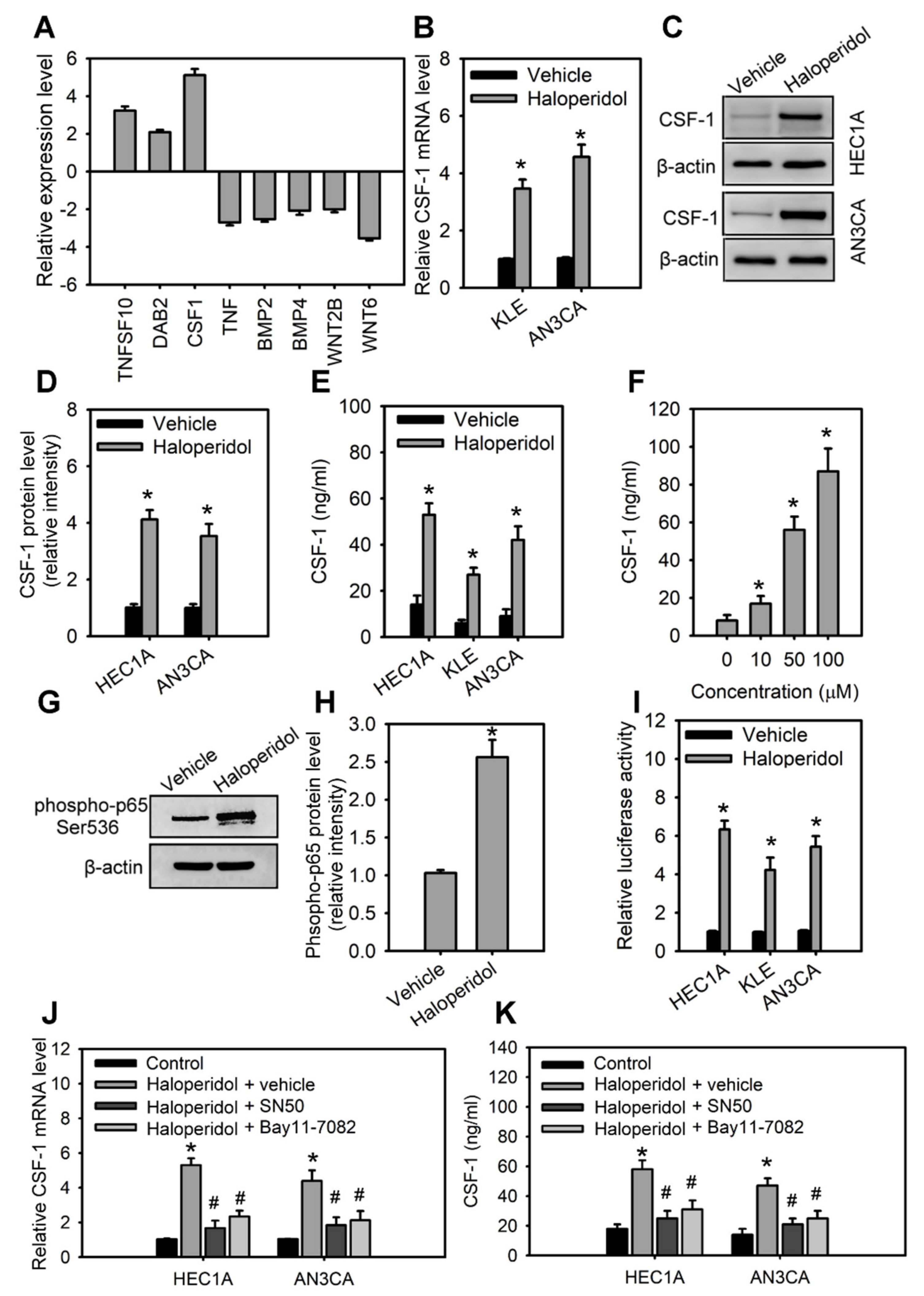 Cancers 14 03089 g004