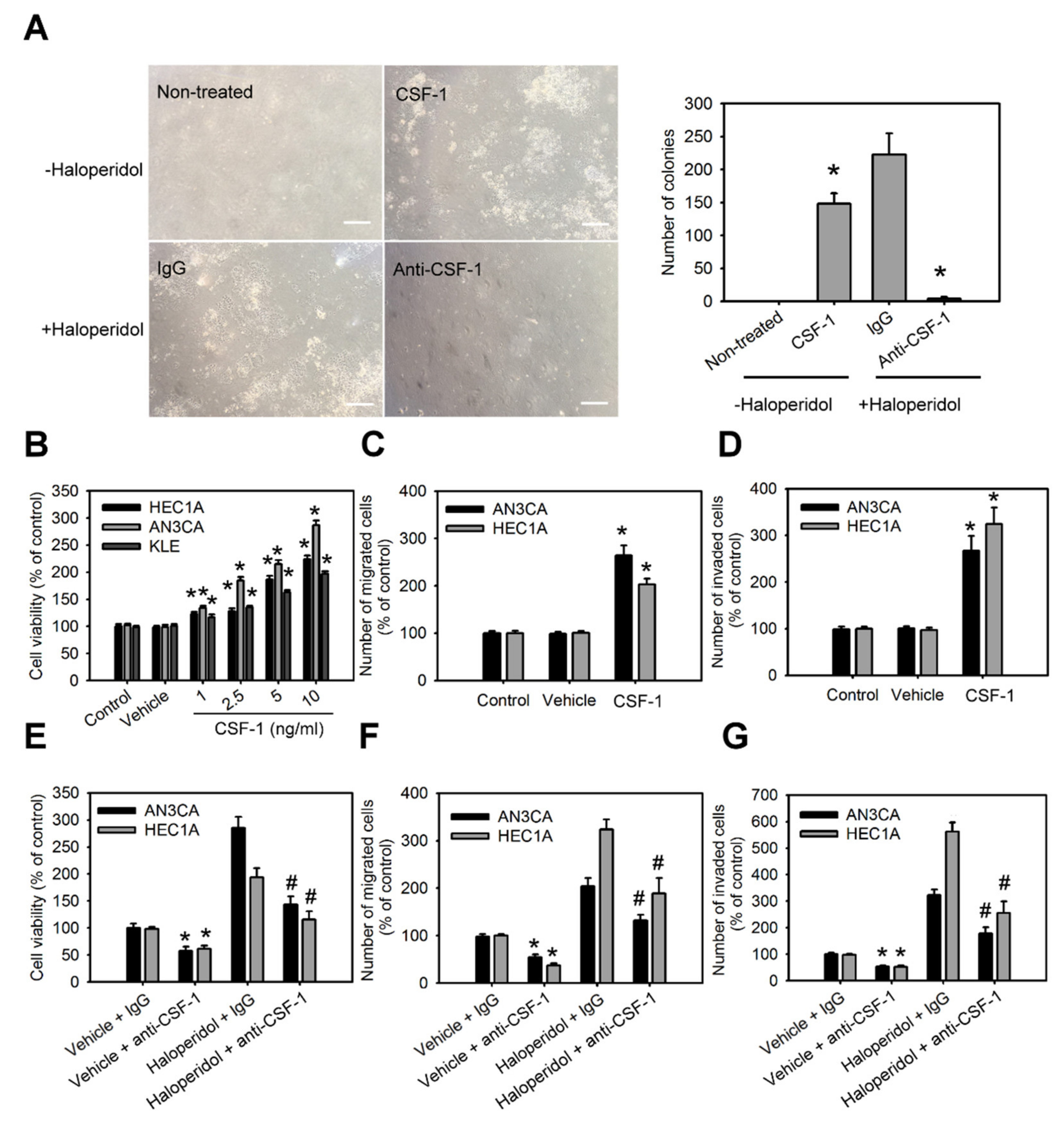 Cancers 14 03089 g005