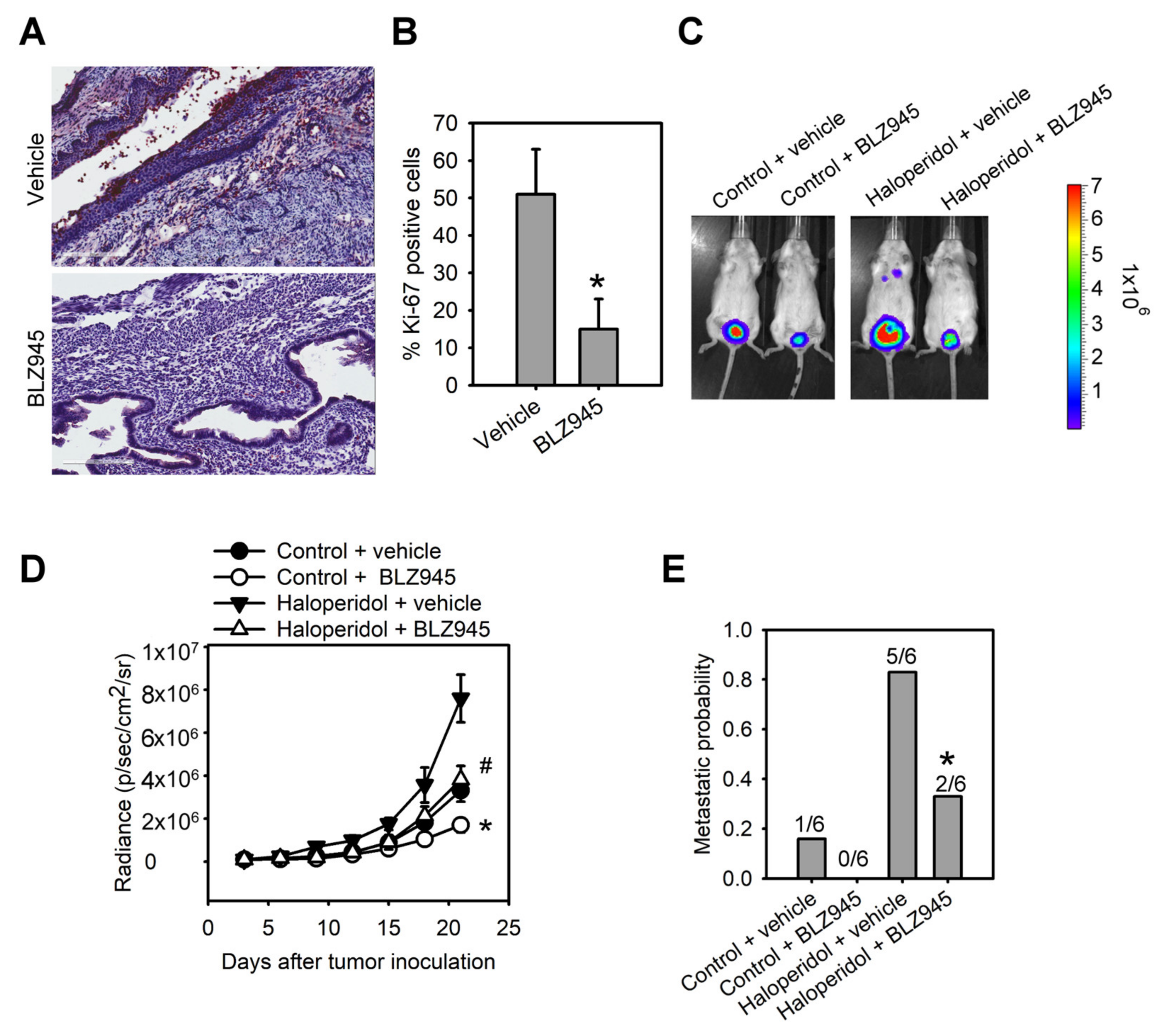 Cancers 14 03089 g006
