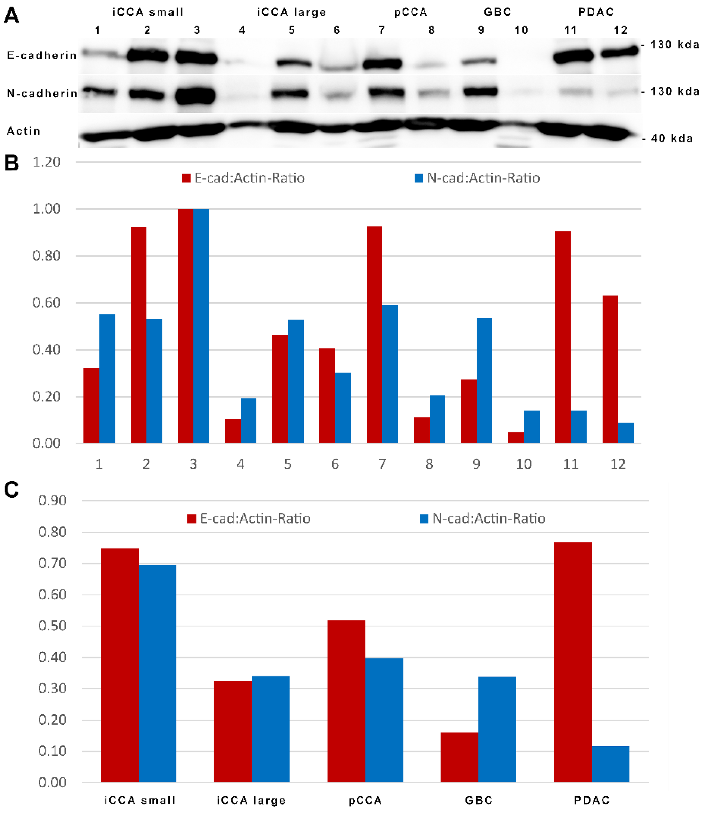 Cancers 14 03091 g005