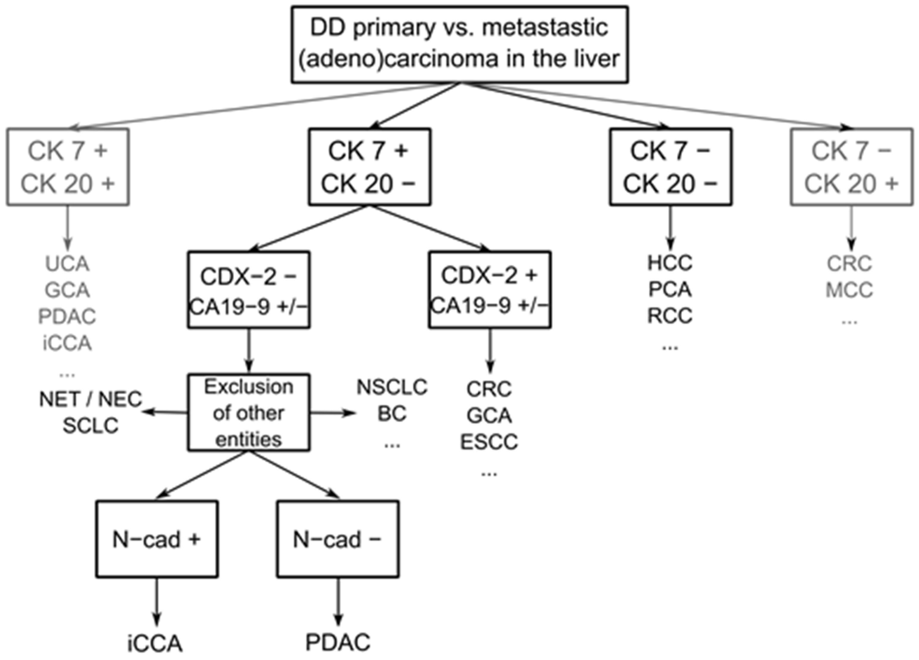 Cancers 14 03091 g006