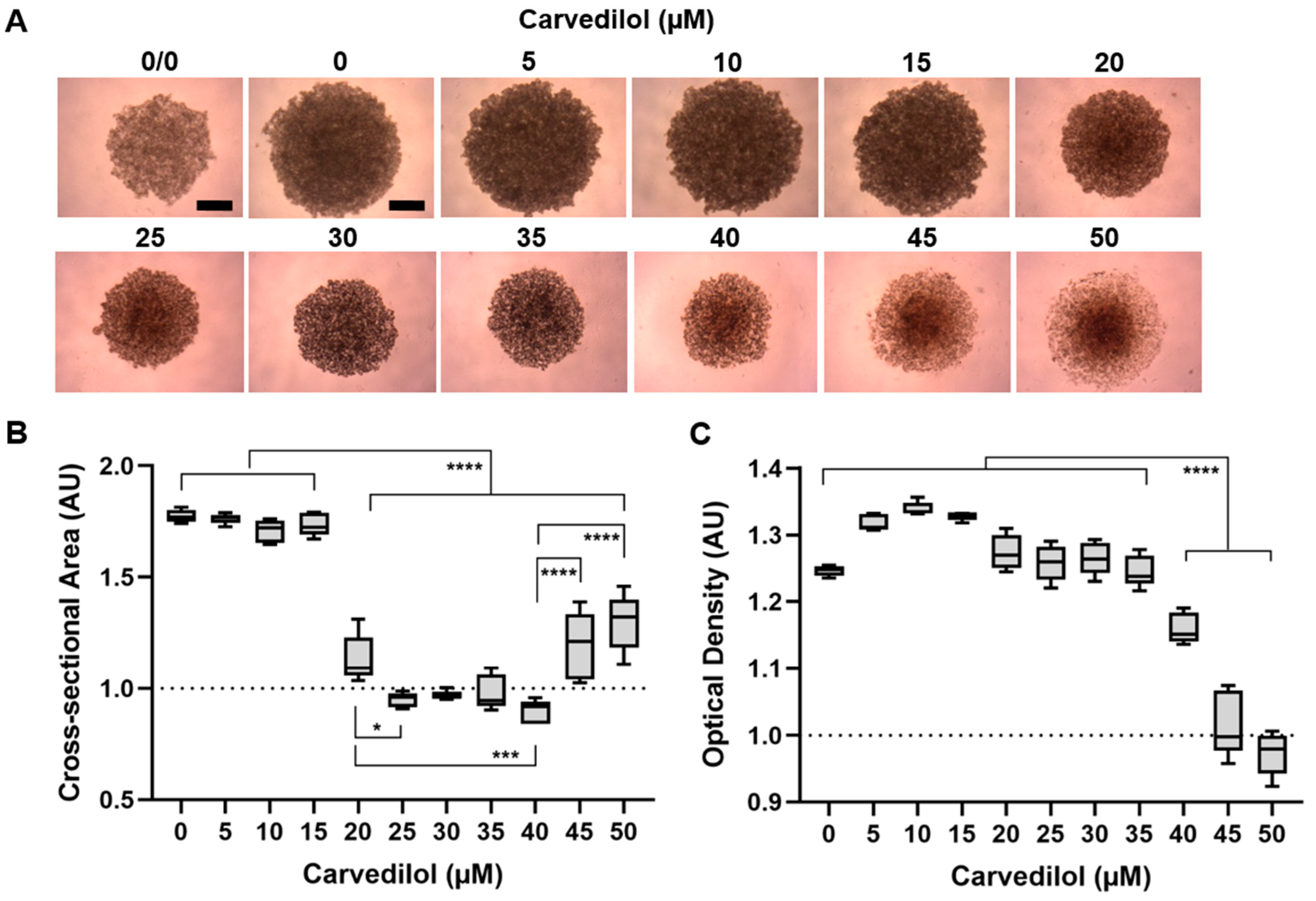 Cancers 14 03097 g003