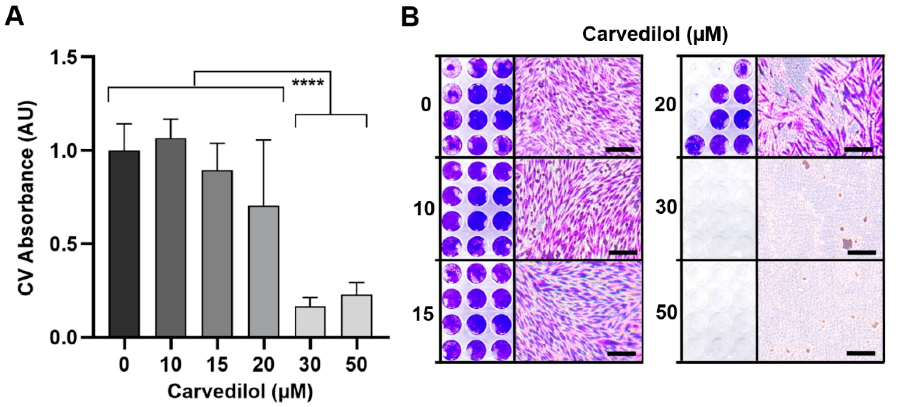 Cancers 14 03097 g004