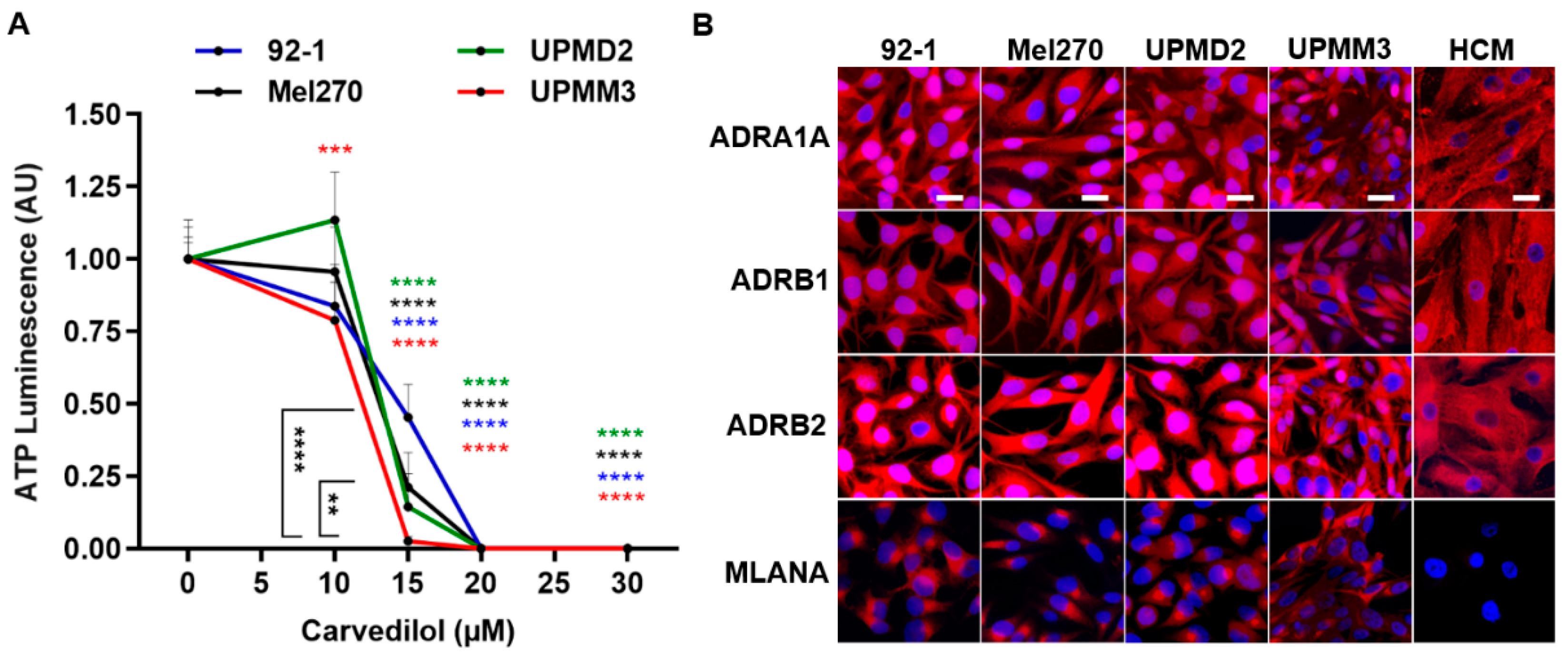 Cancers 14 03097 g007