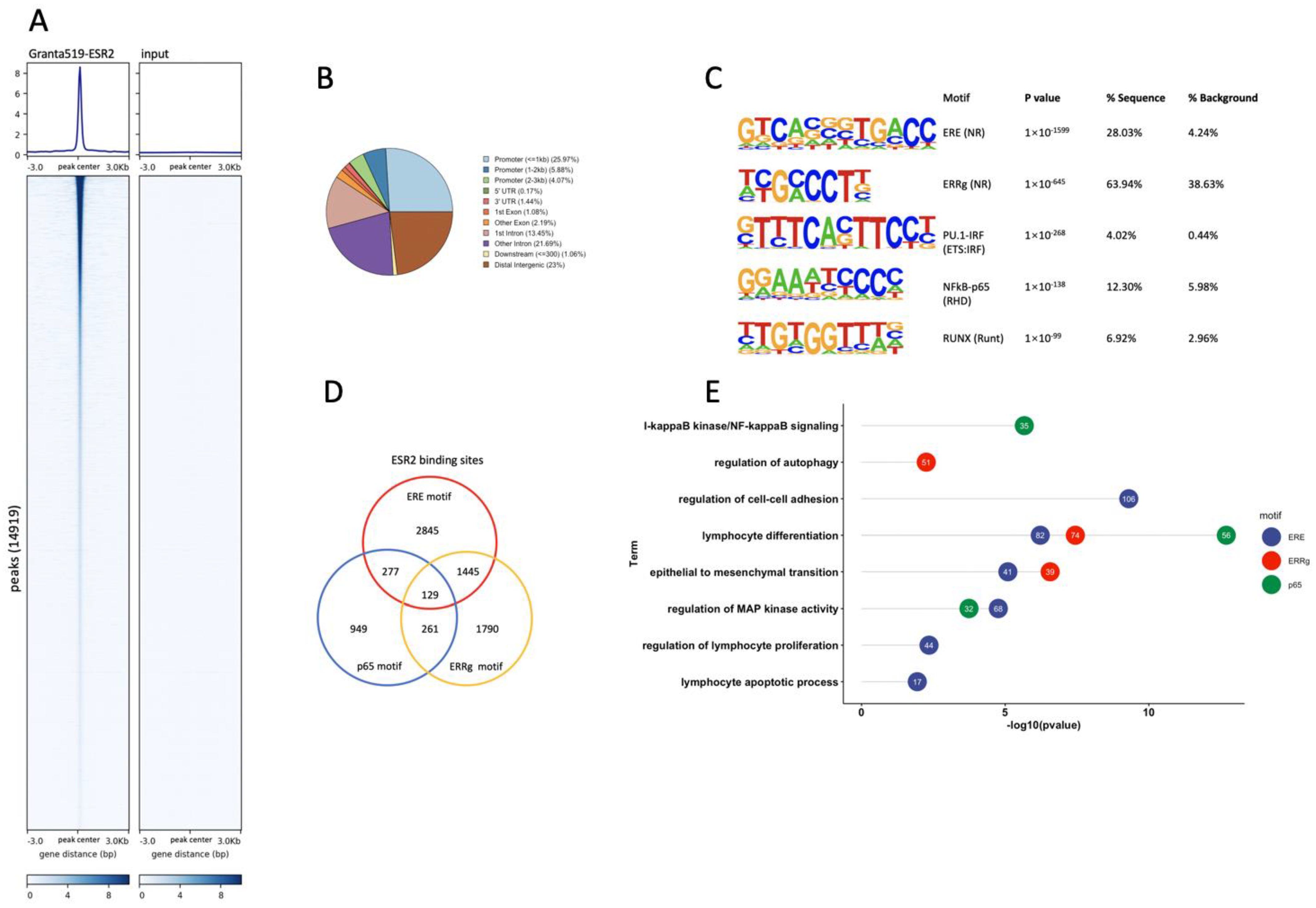 Cancers 14 03098 g003