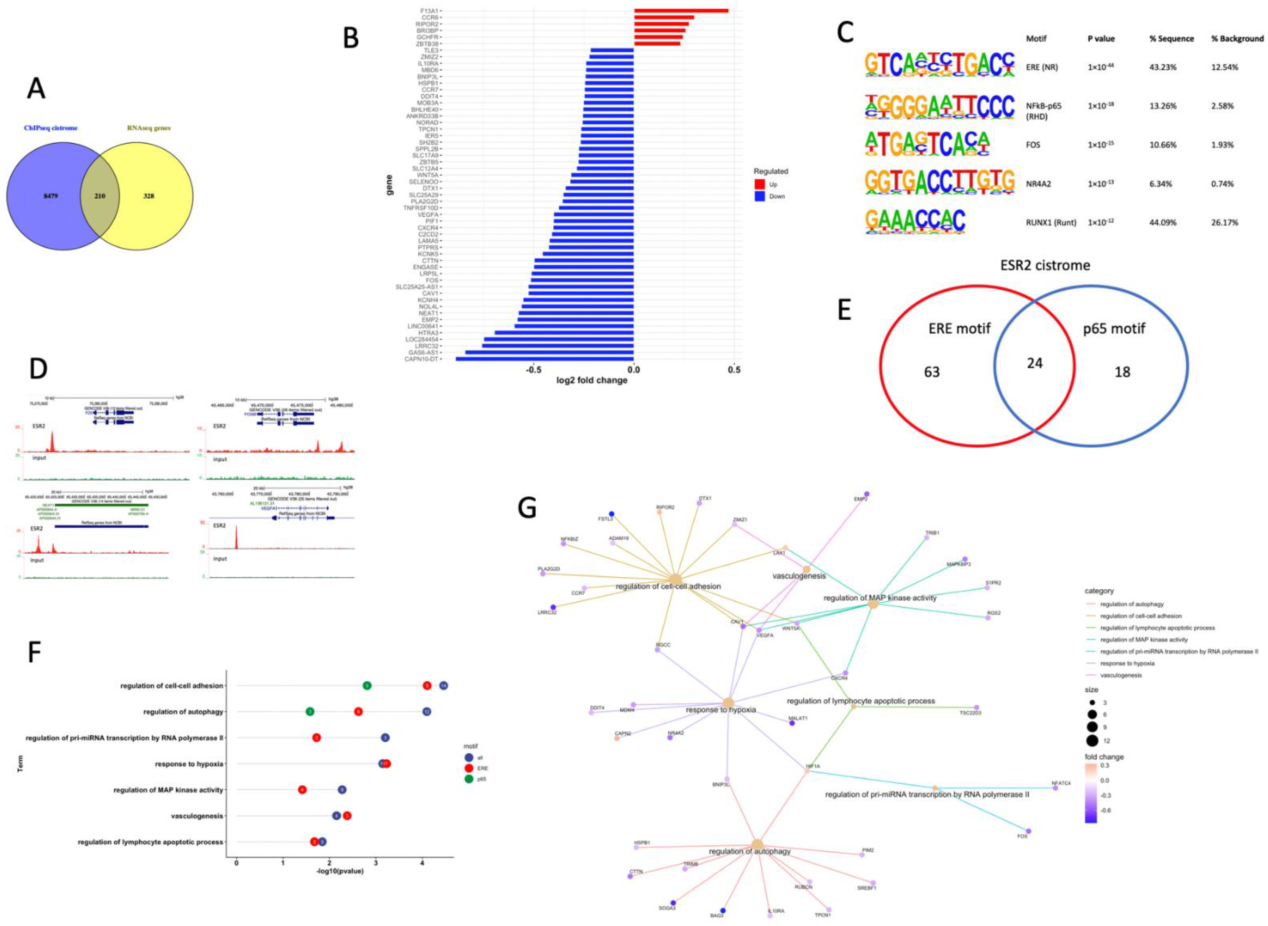 Cancers 14 03098 g004