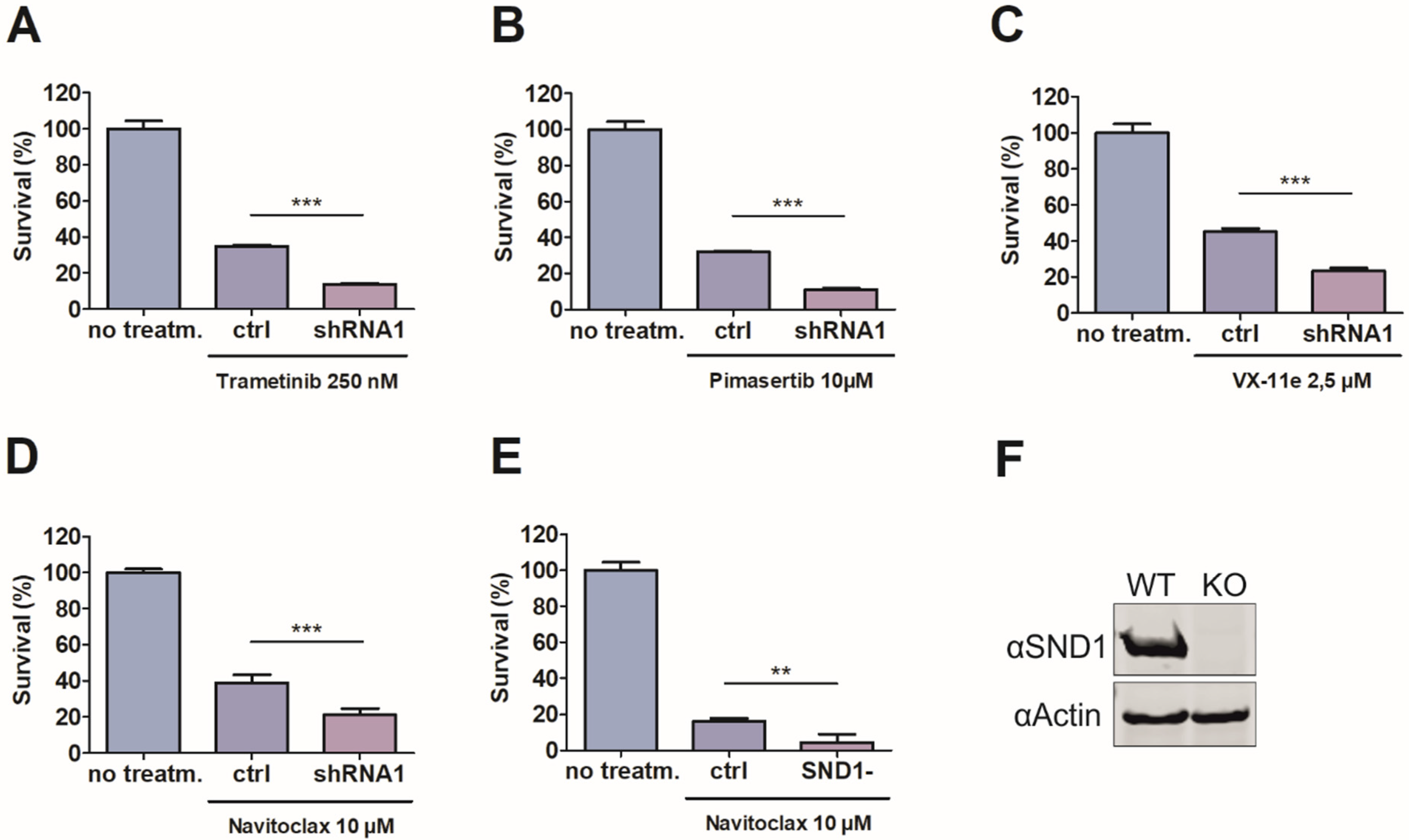 Cancers 14 03100 g002