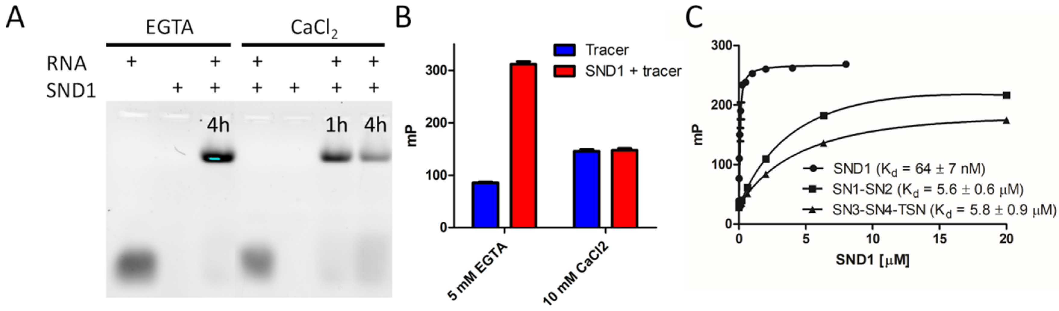 Cancers 14 03100 g003
