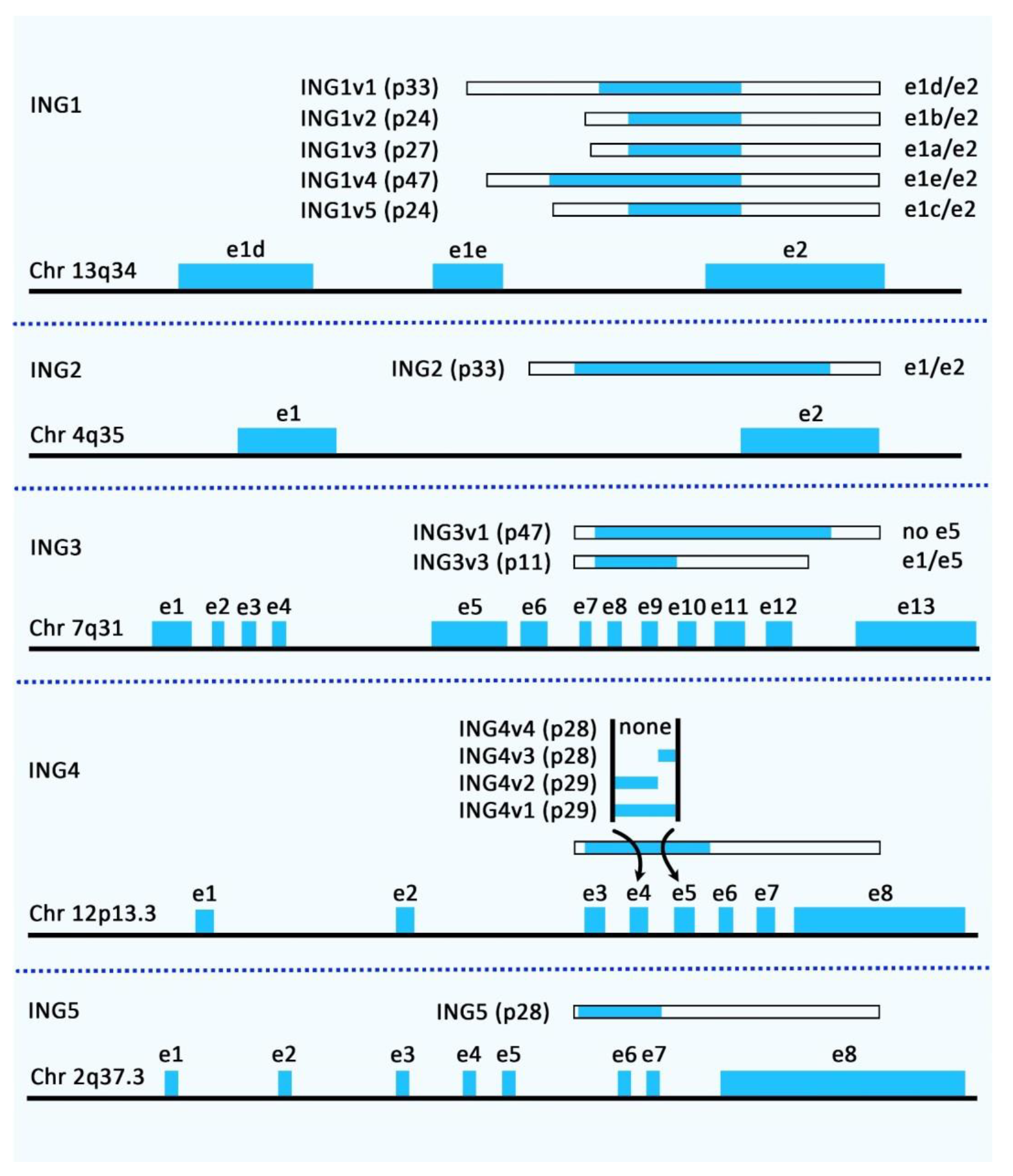 Cancers 14 03107 g001 Cancers 14 03107 g001