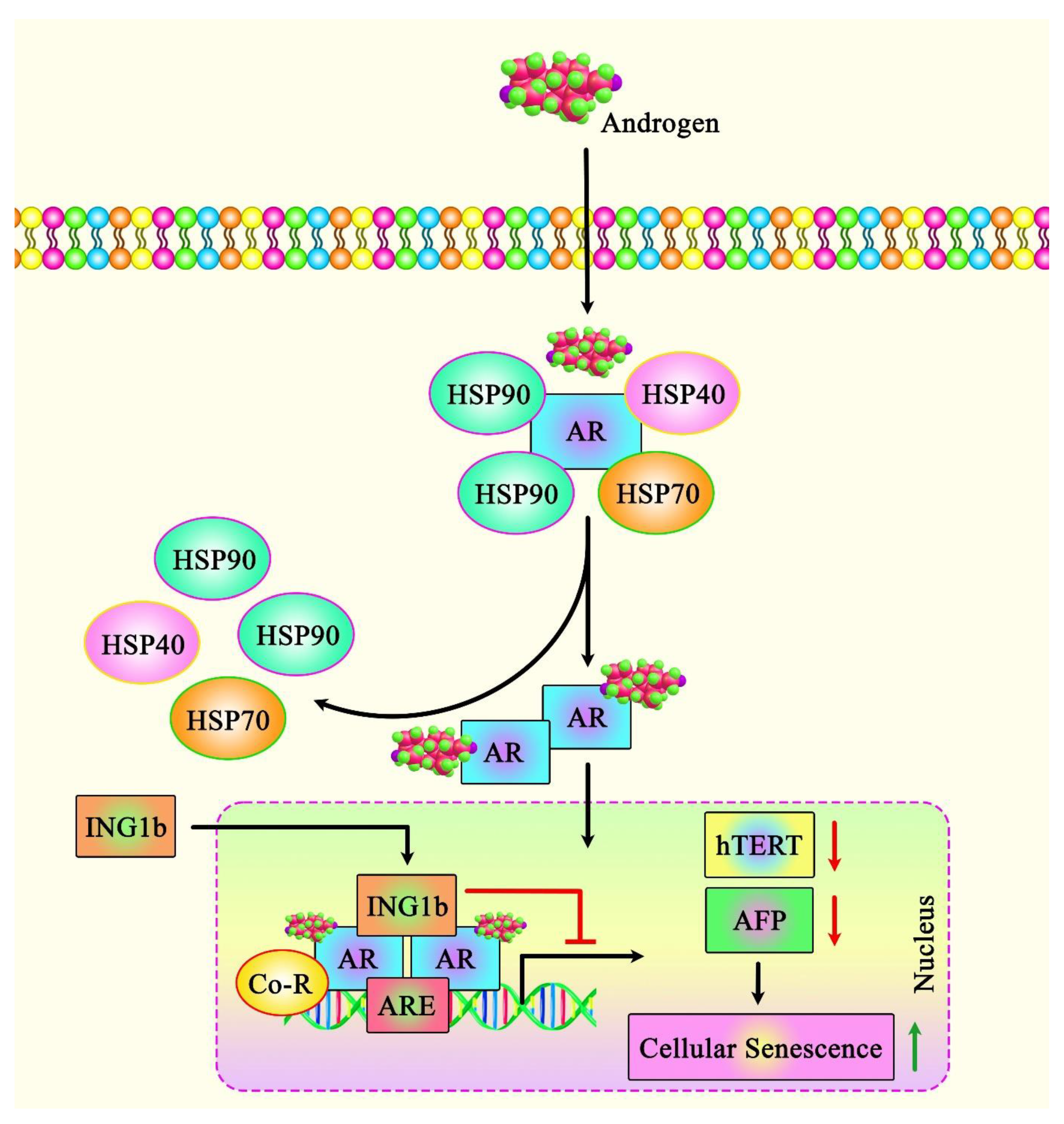 Cancers 14 03107 g002 Cancers 14 03107 g002