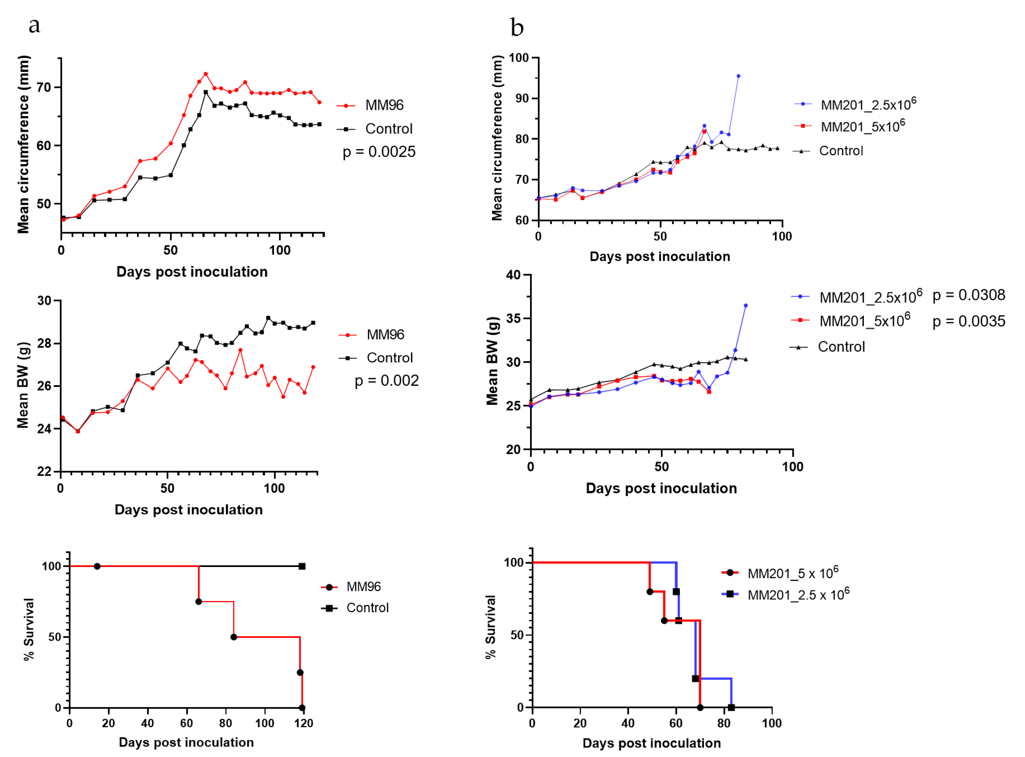 Cancers 14 03108 g001 Cancers 14 03108 g001