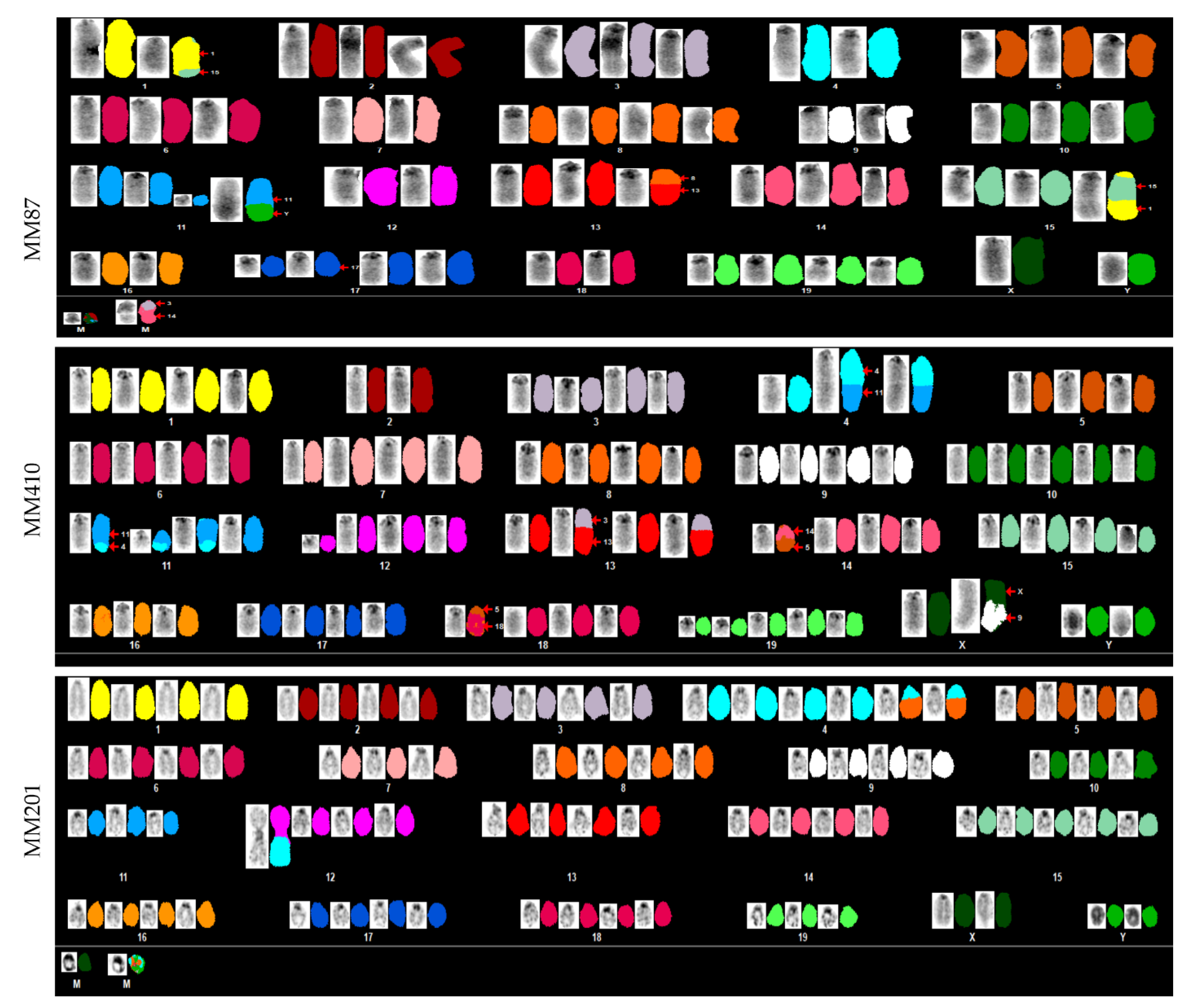 Cancers 14 03108 g003 Cancers 14 03108 g003