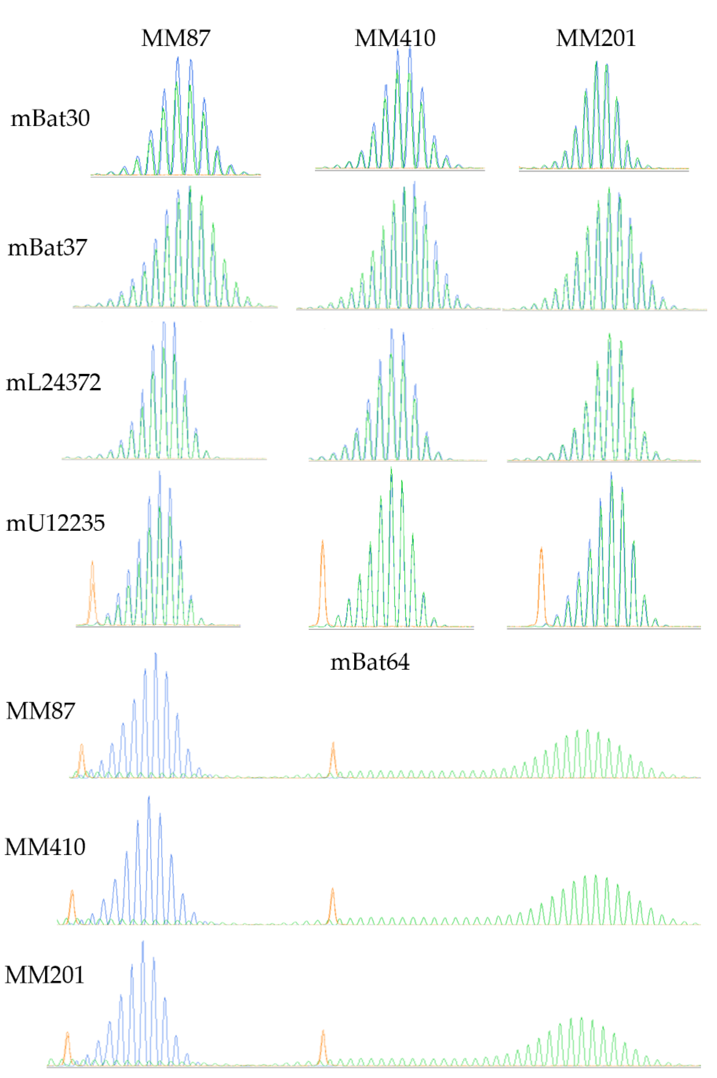 Cancers 14 03108 g004 Cancers 14 03108 g004