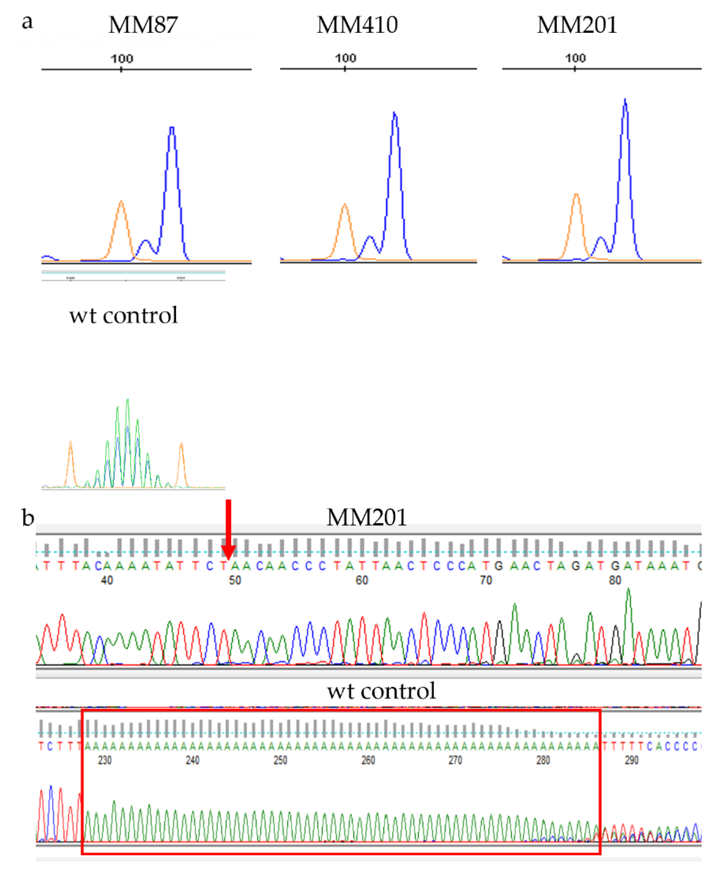 Cancers 14 03108 g005 Cancers 14 03108 g005