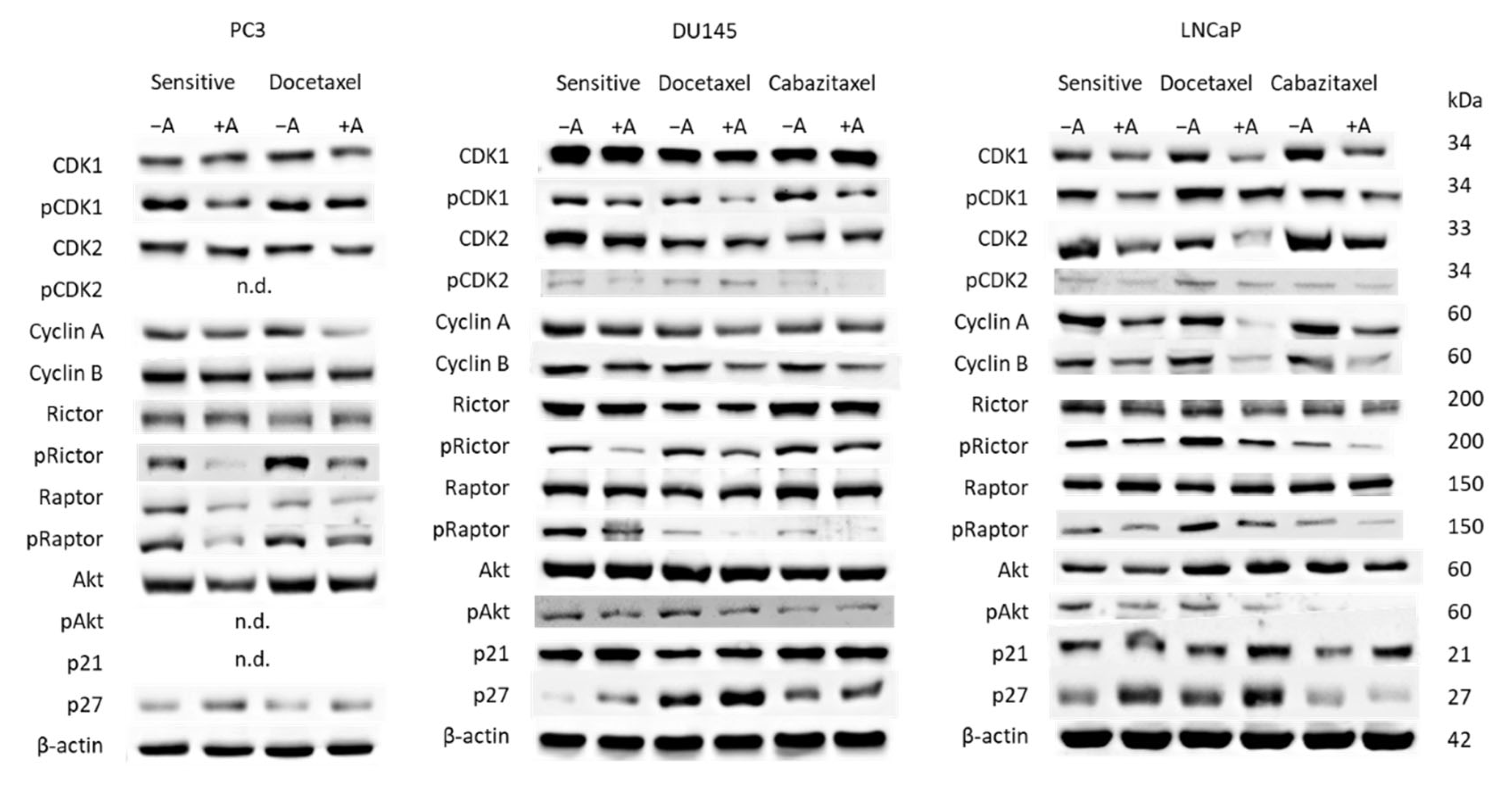 Cancers 14 03111 g005a