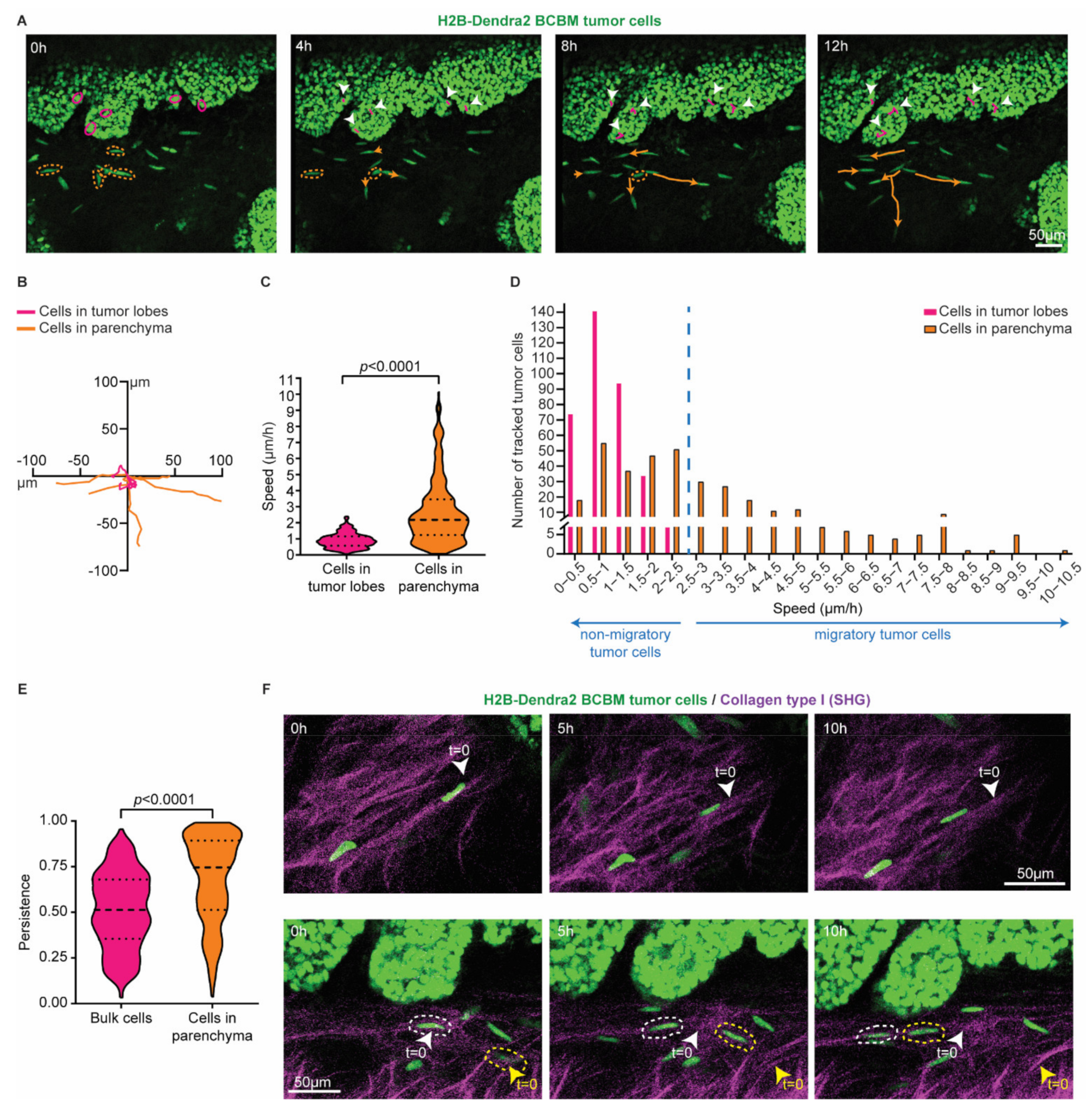 Cancers 14 03115 g002