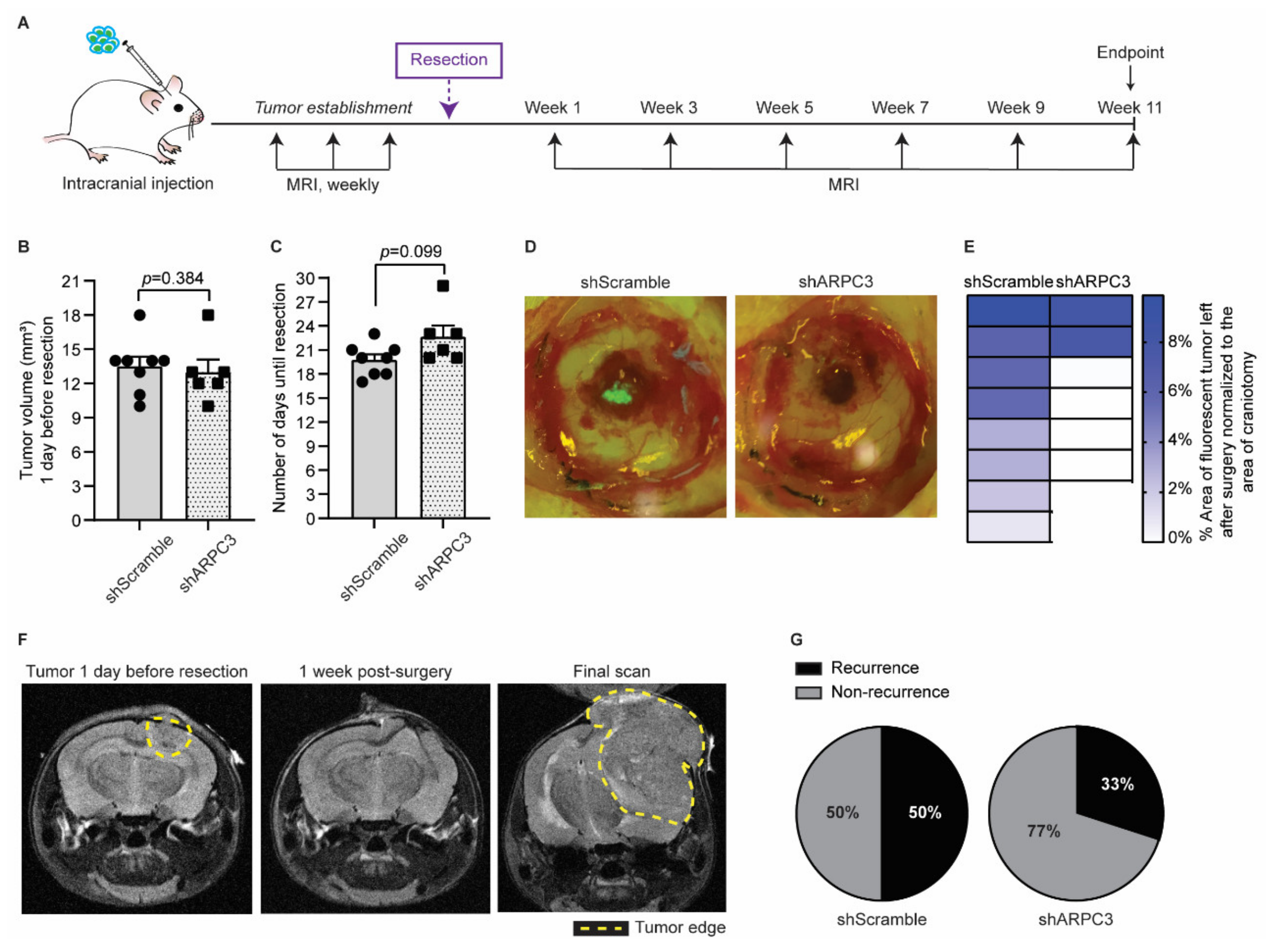 Cancers 14 03115 g004