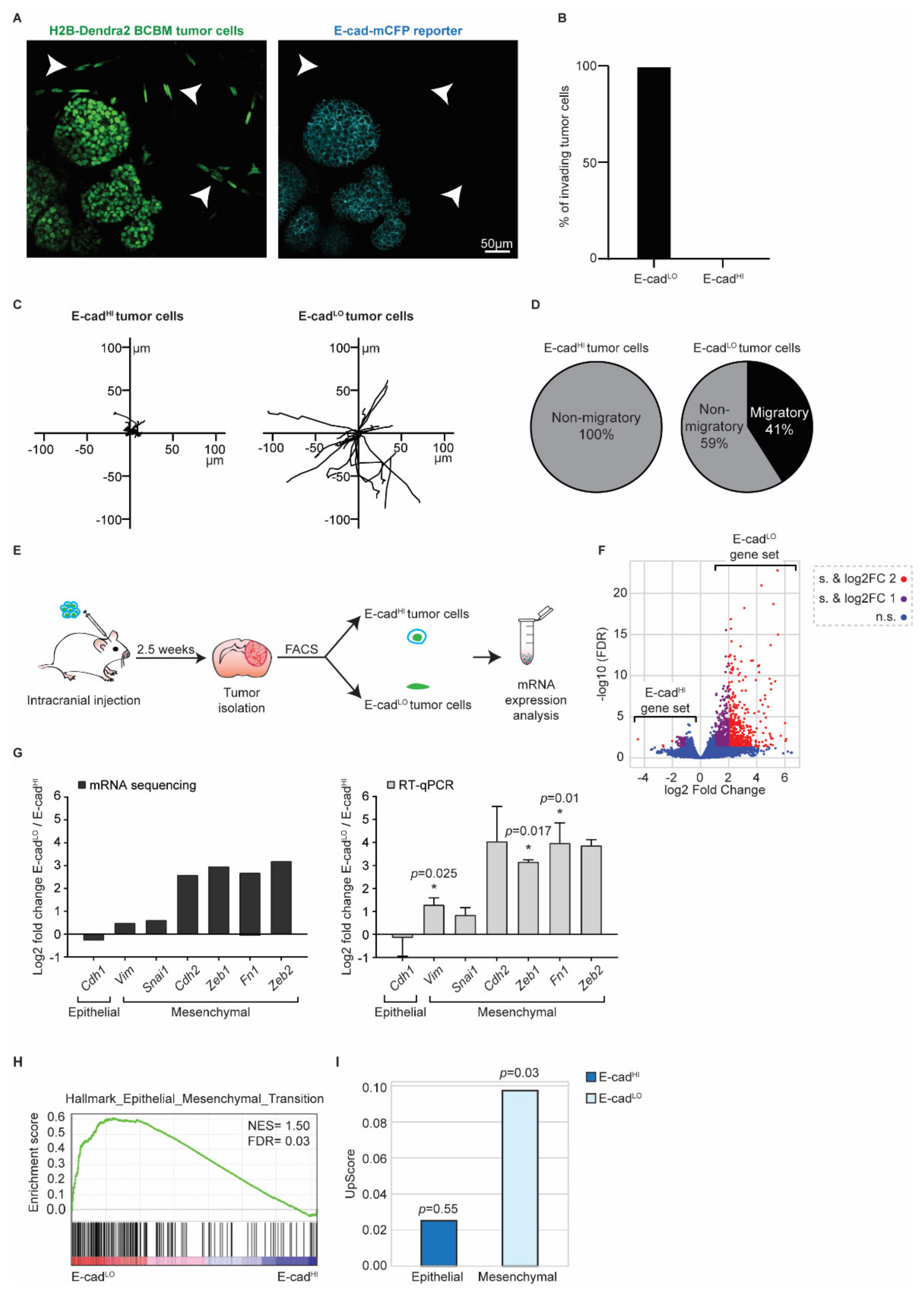Cancers 14 03115 g005