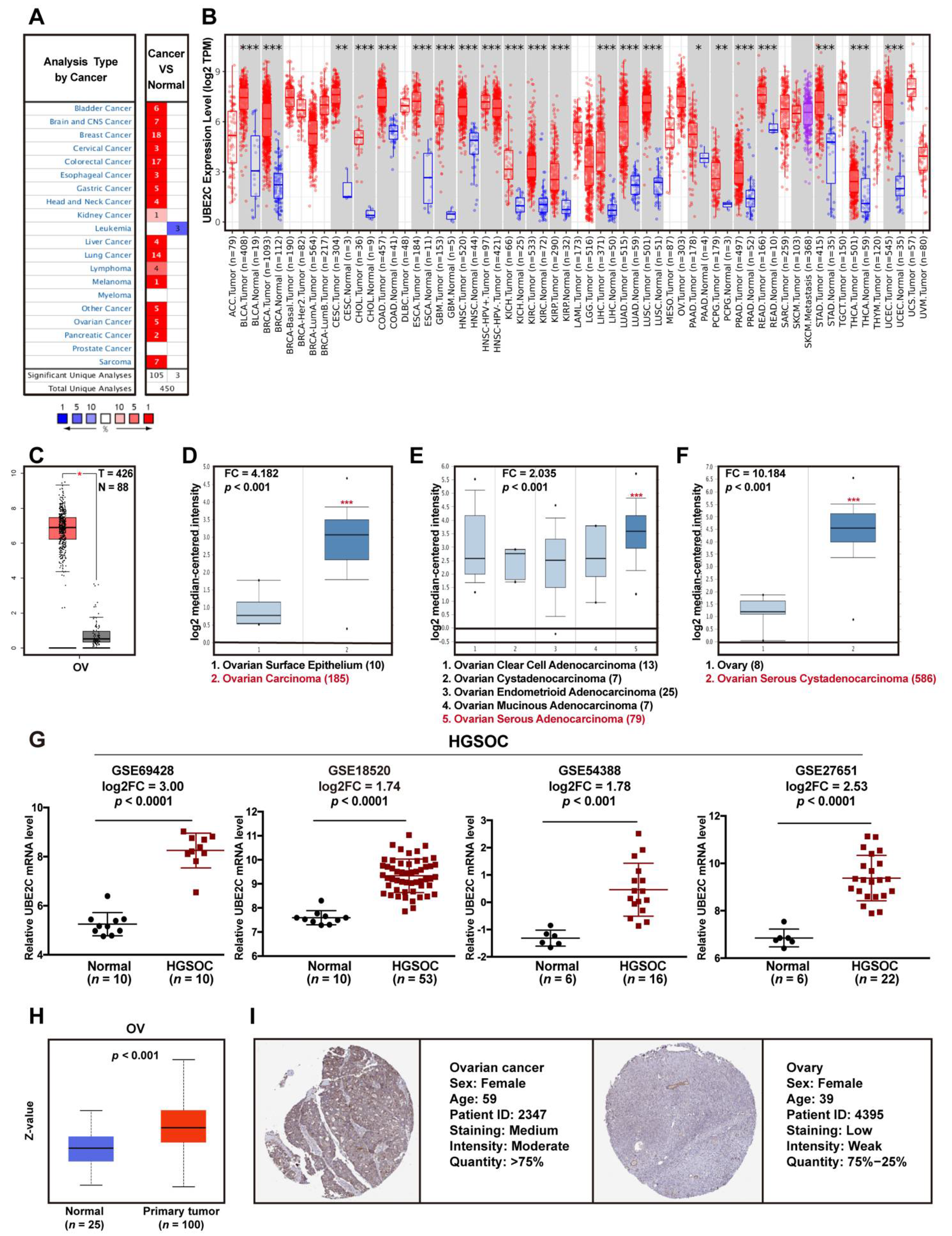 Cancers 14 03121 g002