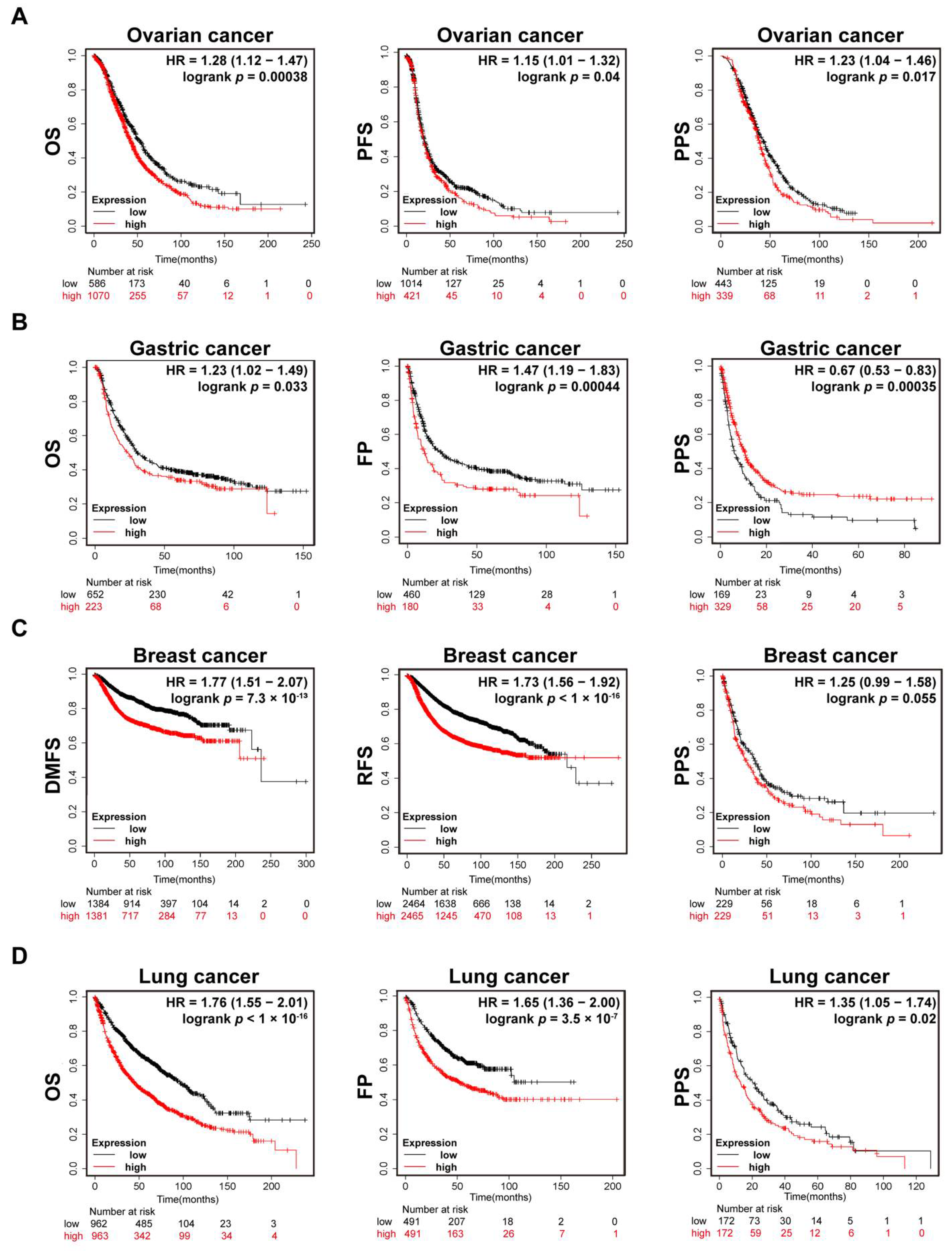 Cancers 14 03121 g003