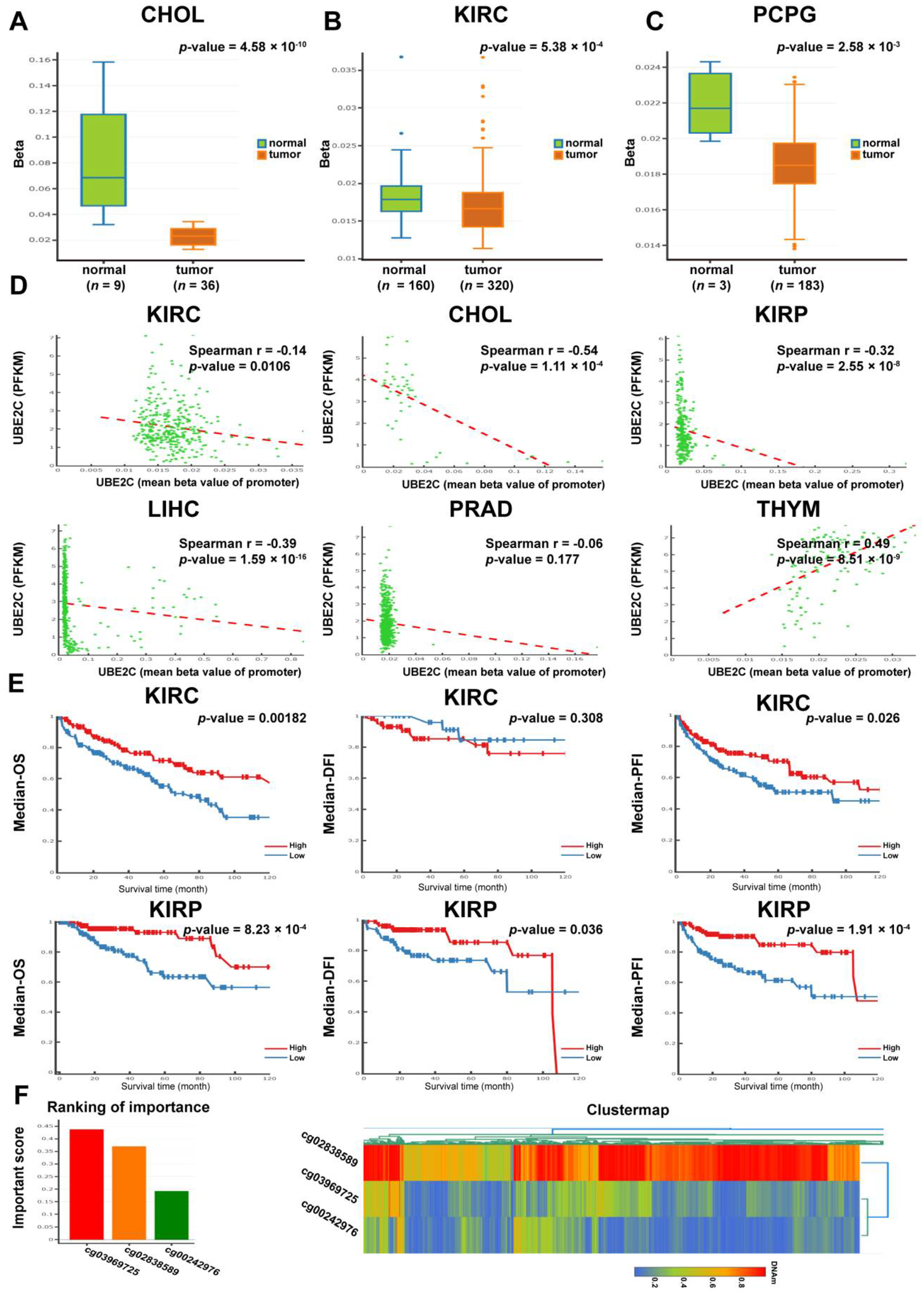 Cancers 14 03121 g004