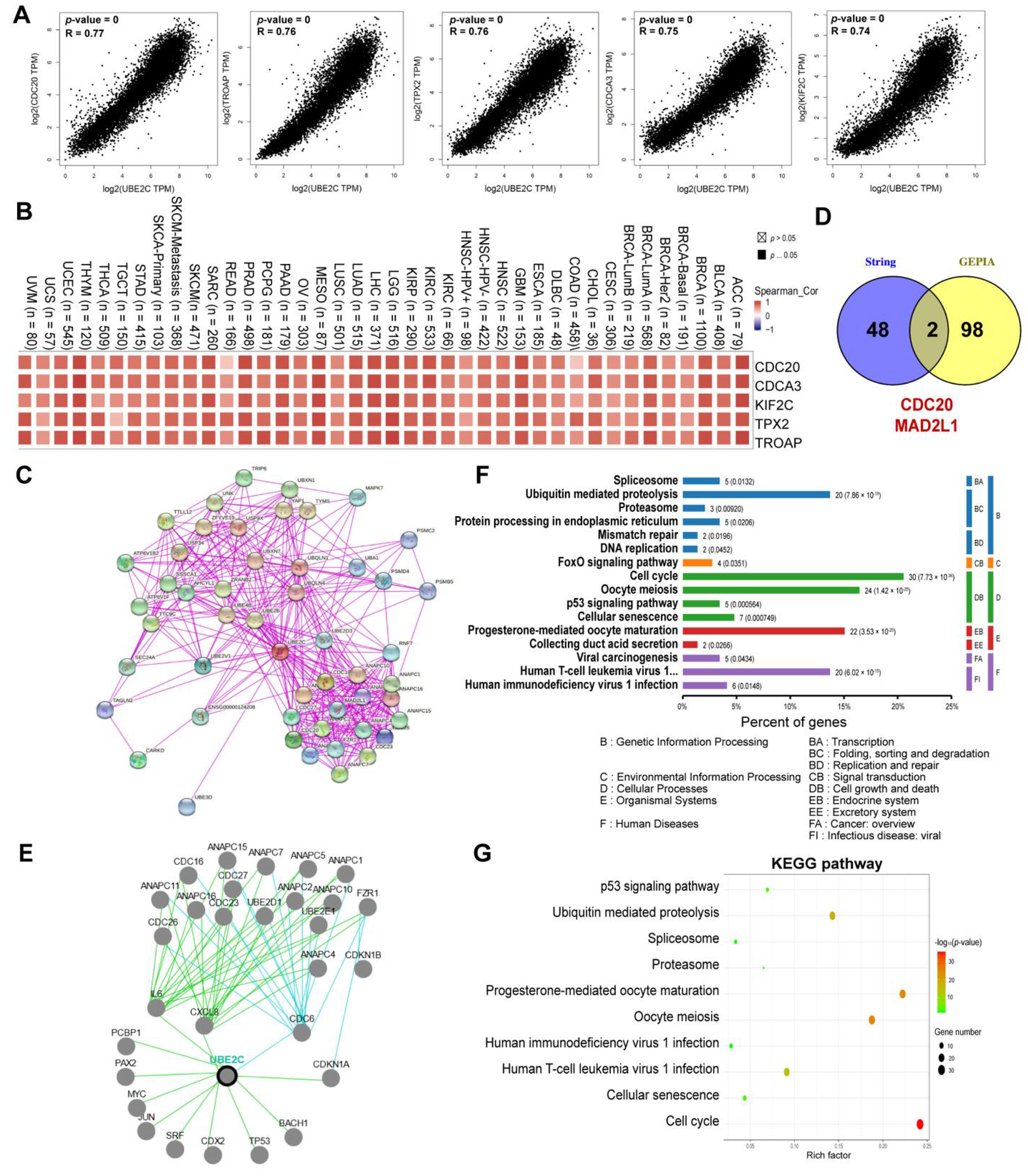 Cancers 14 03121 g005