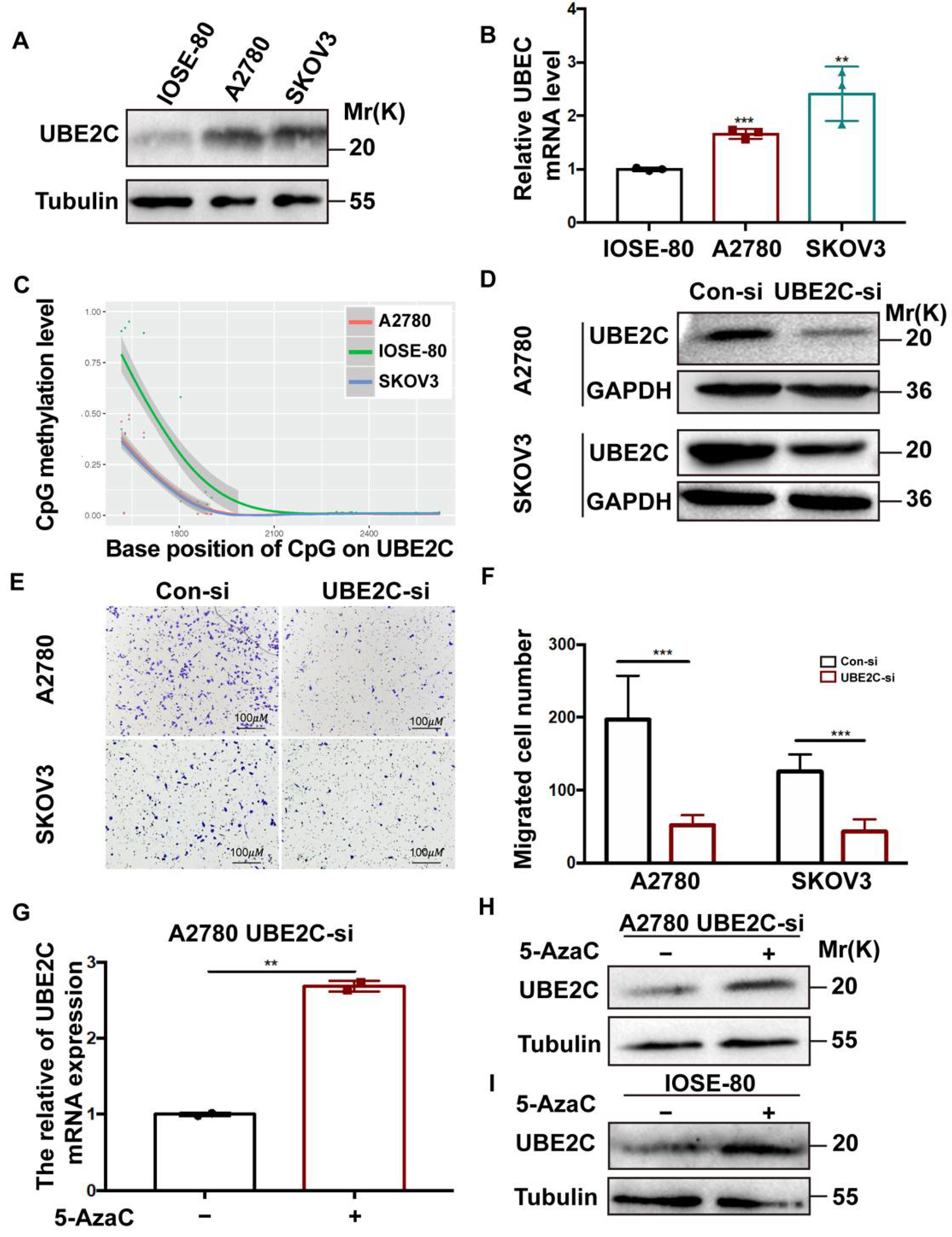 Cancers 14 03121 g007