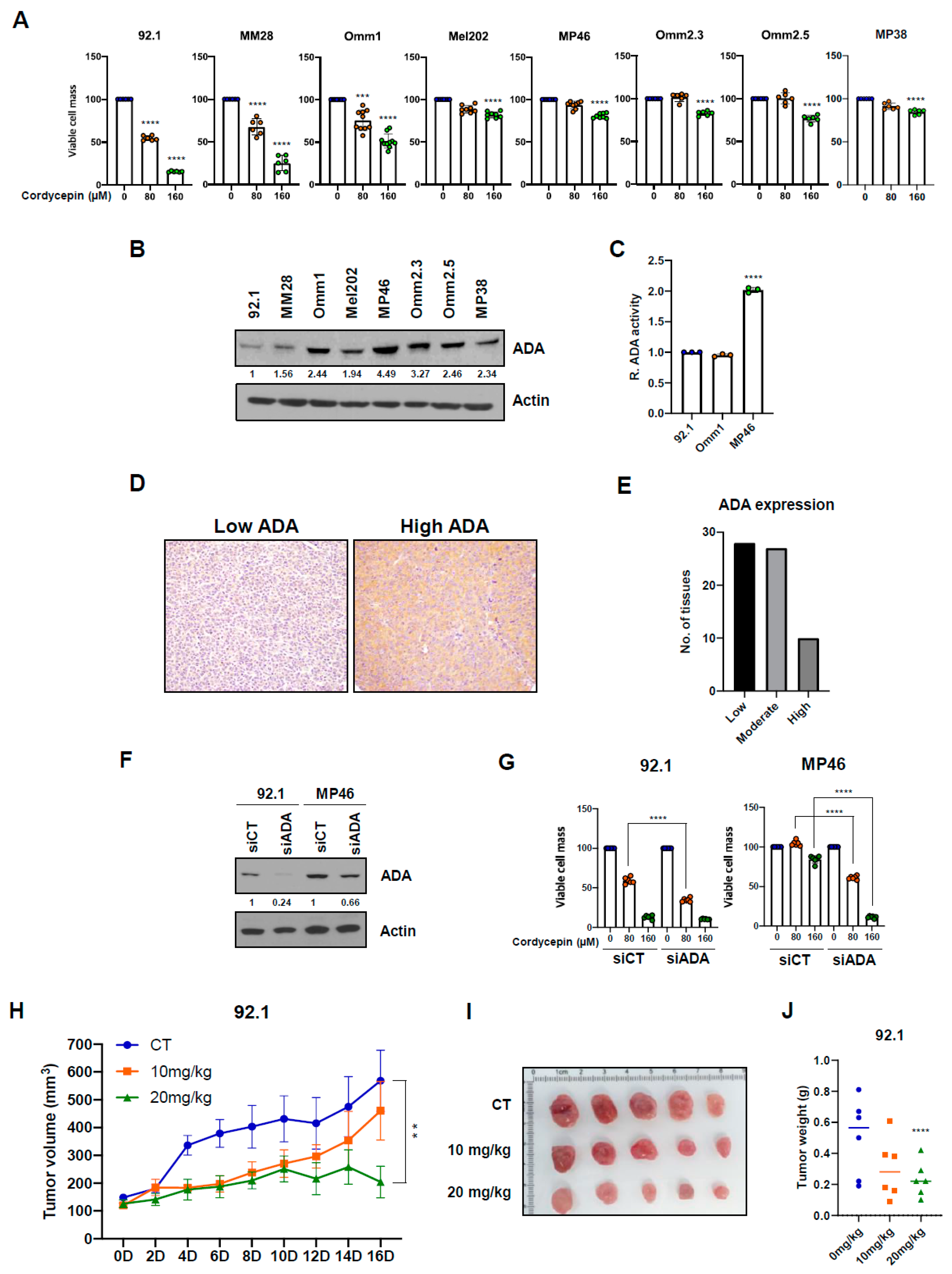 Cancers 14 03122 g001