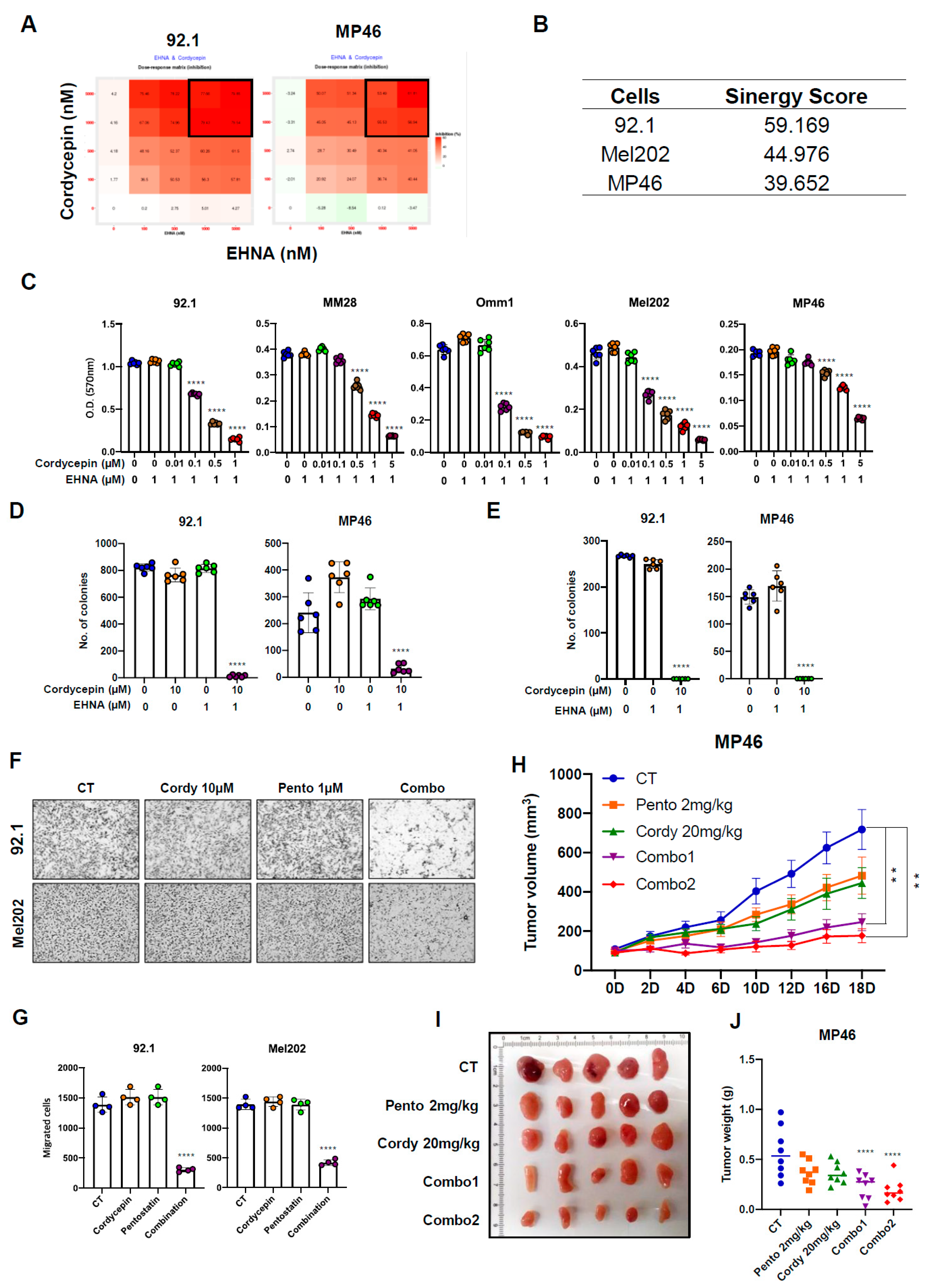 Cancers 14 03122 g003