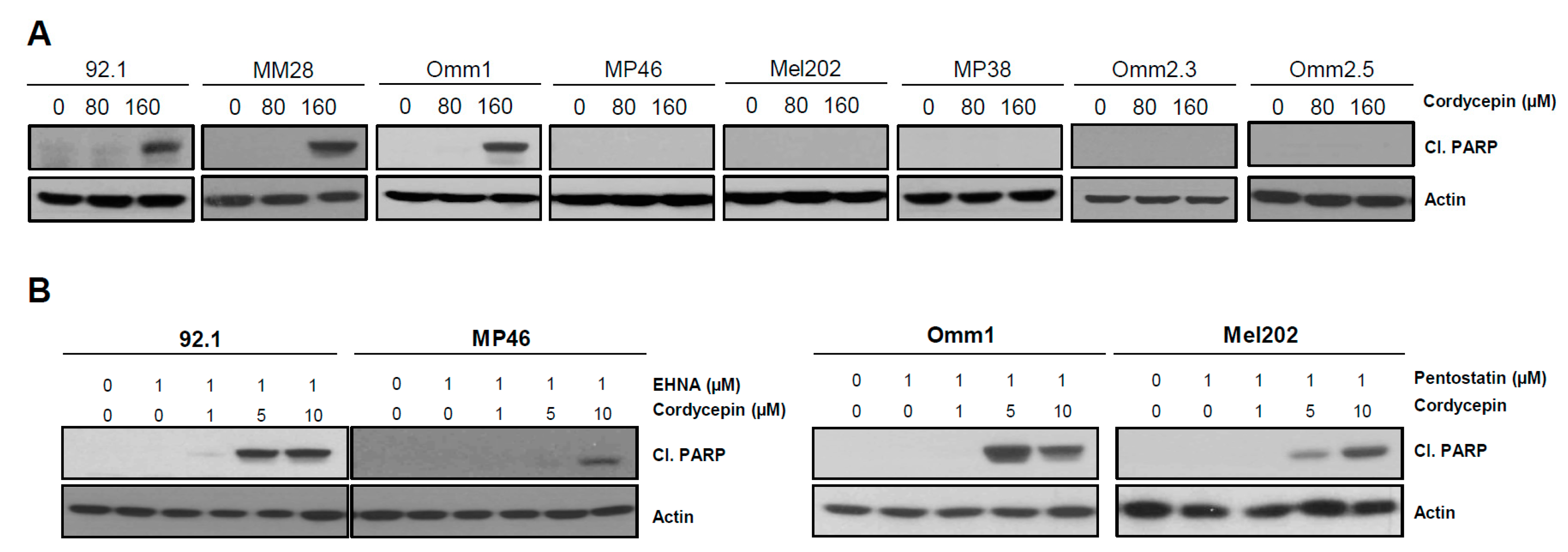 Cancers 14 03122 g004a