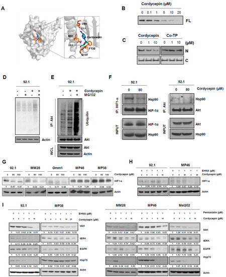 Cancers 14 03122 g005 550