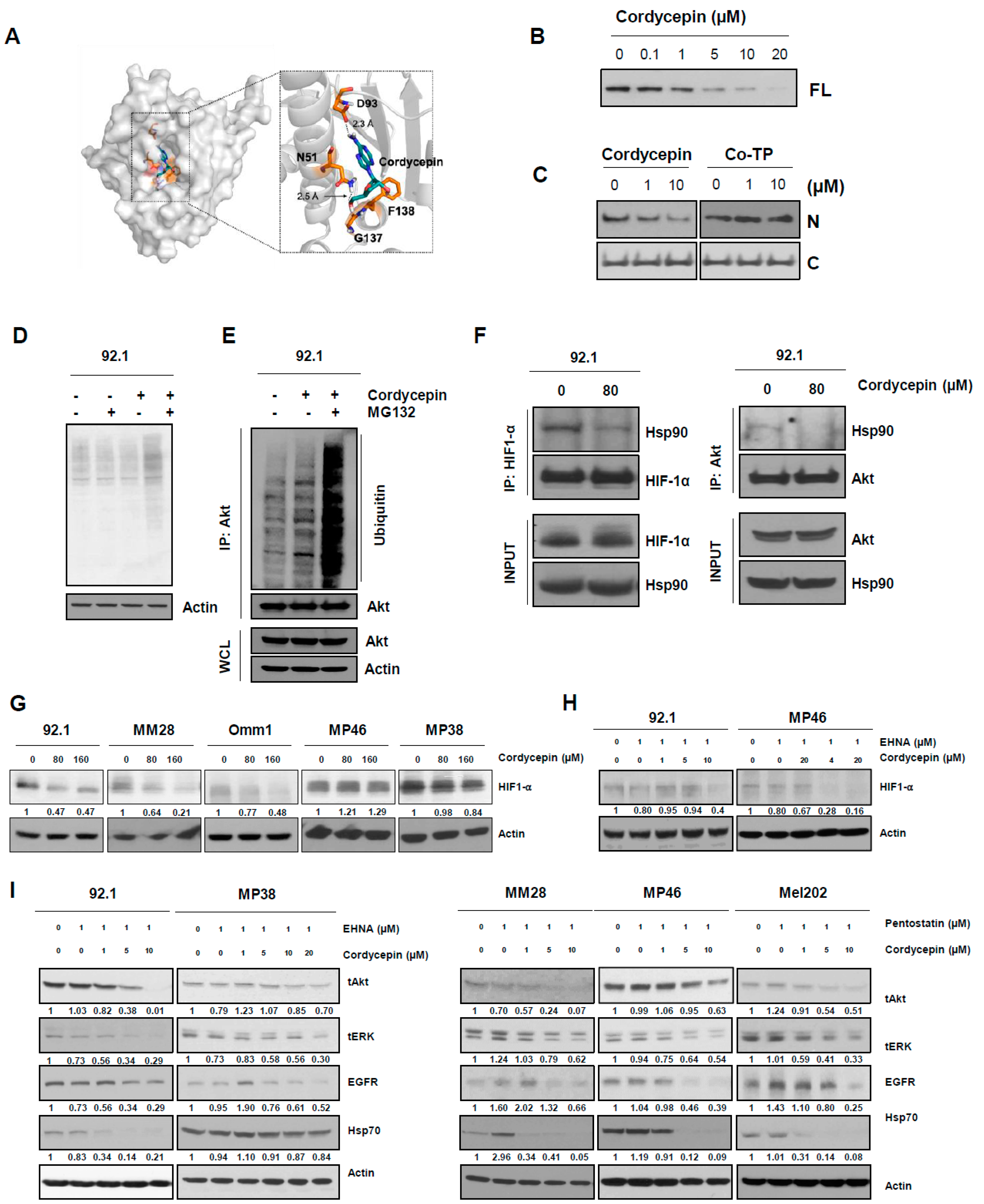 Cancers 14 03122 g005