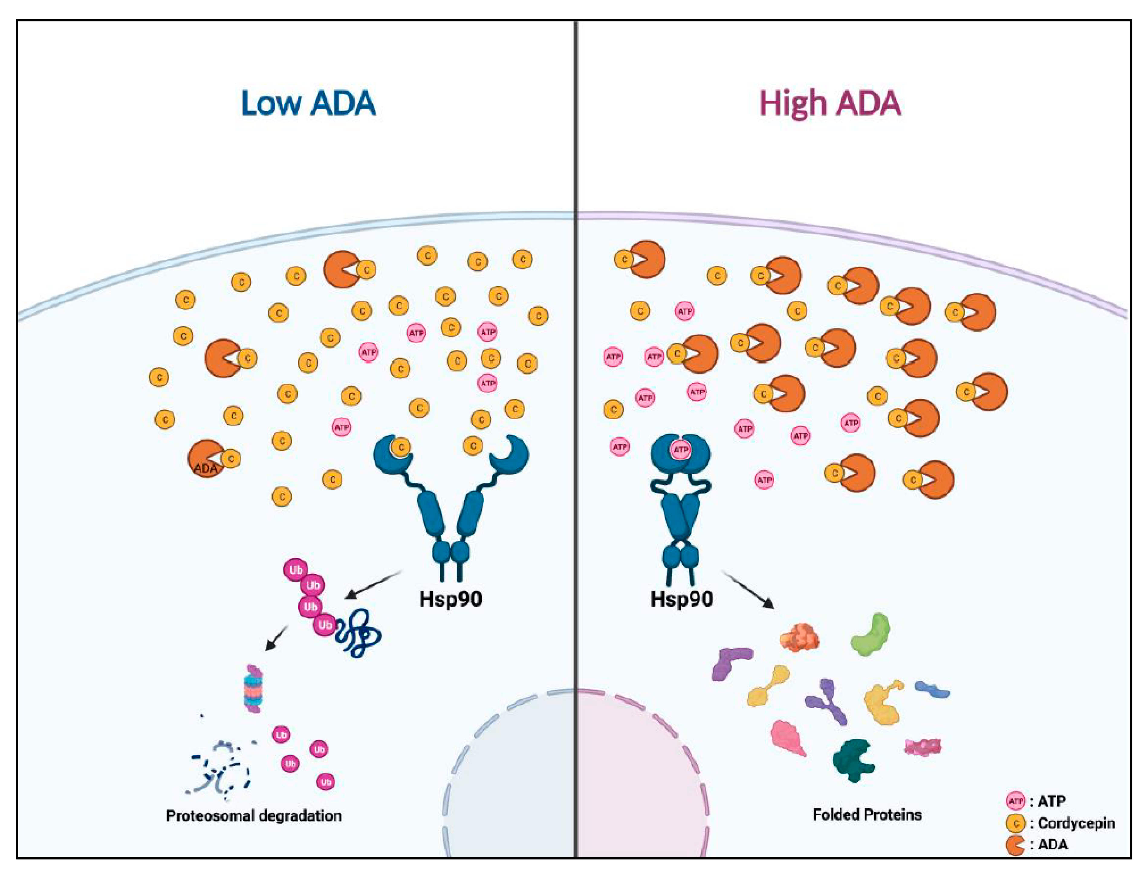 Cancers 14 03122 g007