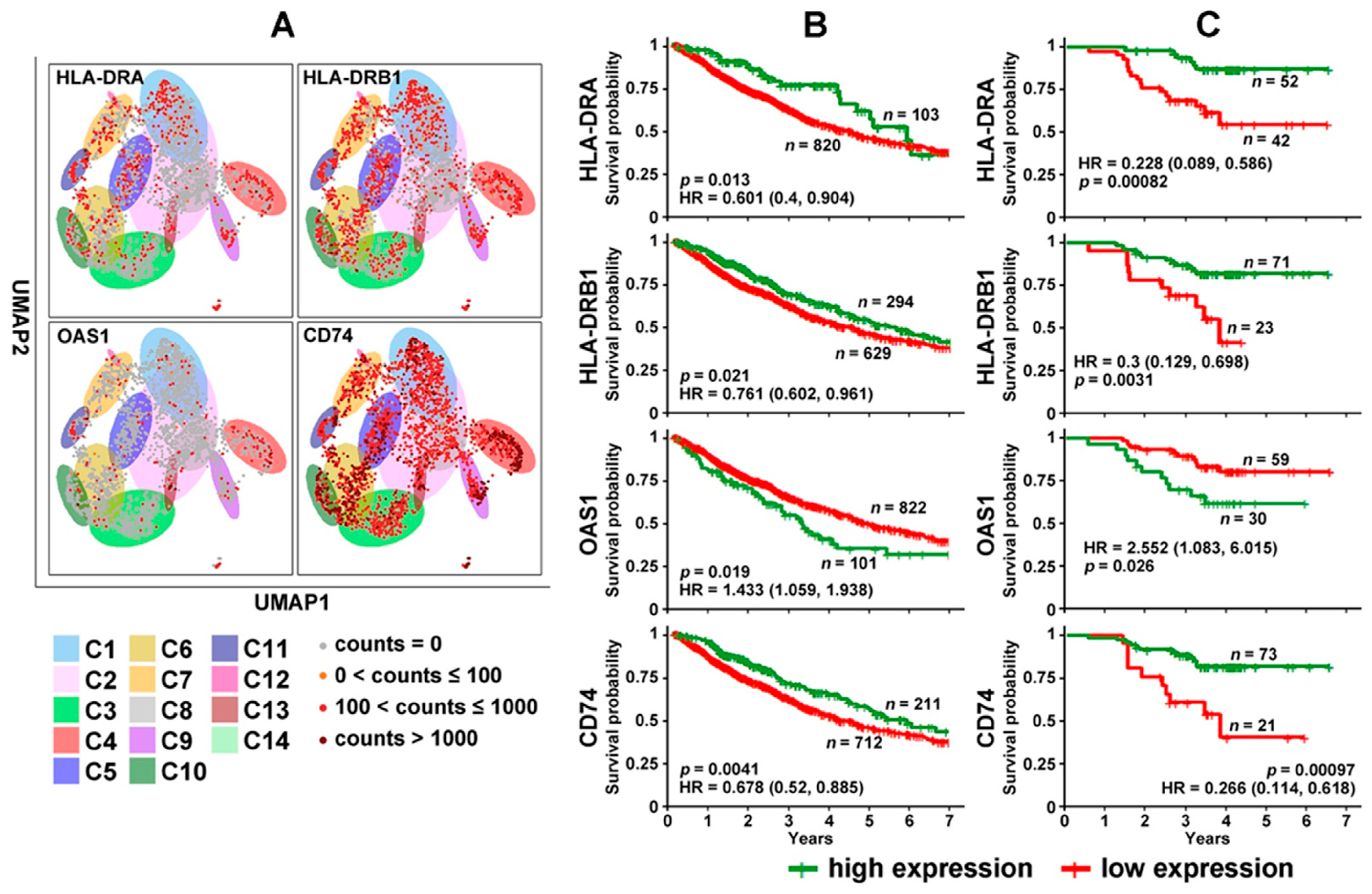 Cancers 14 03123 g003 Cancers 14 03123 g003