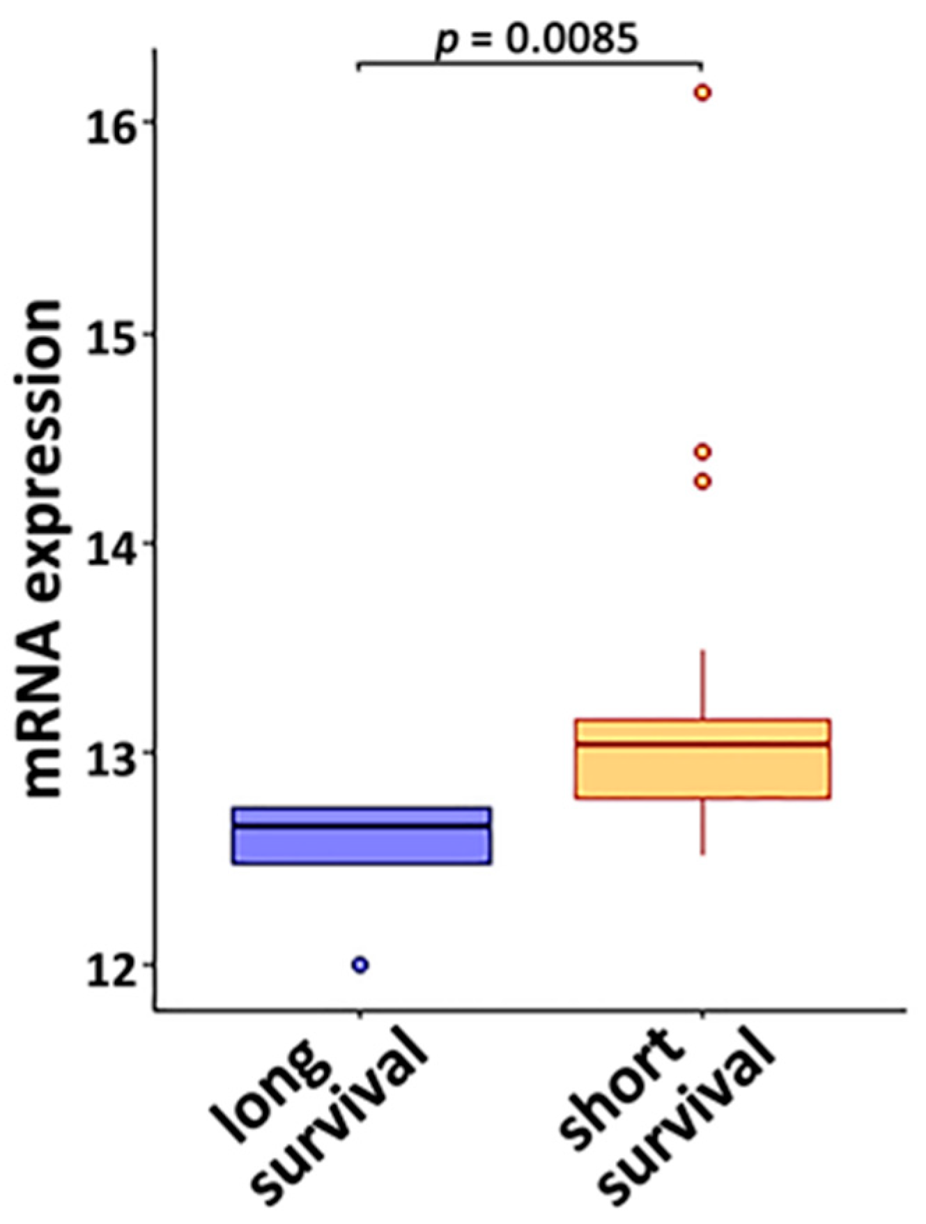 Cancers 14 03123 g004 Cancers 14 03123 g004